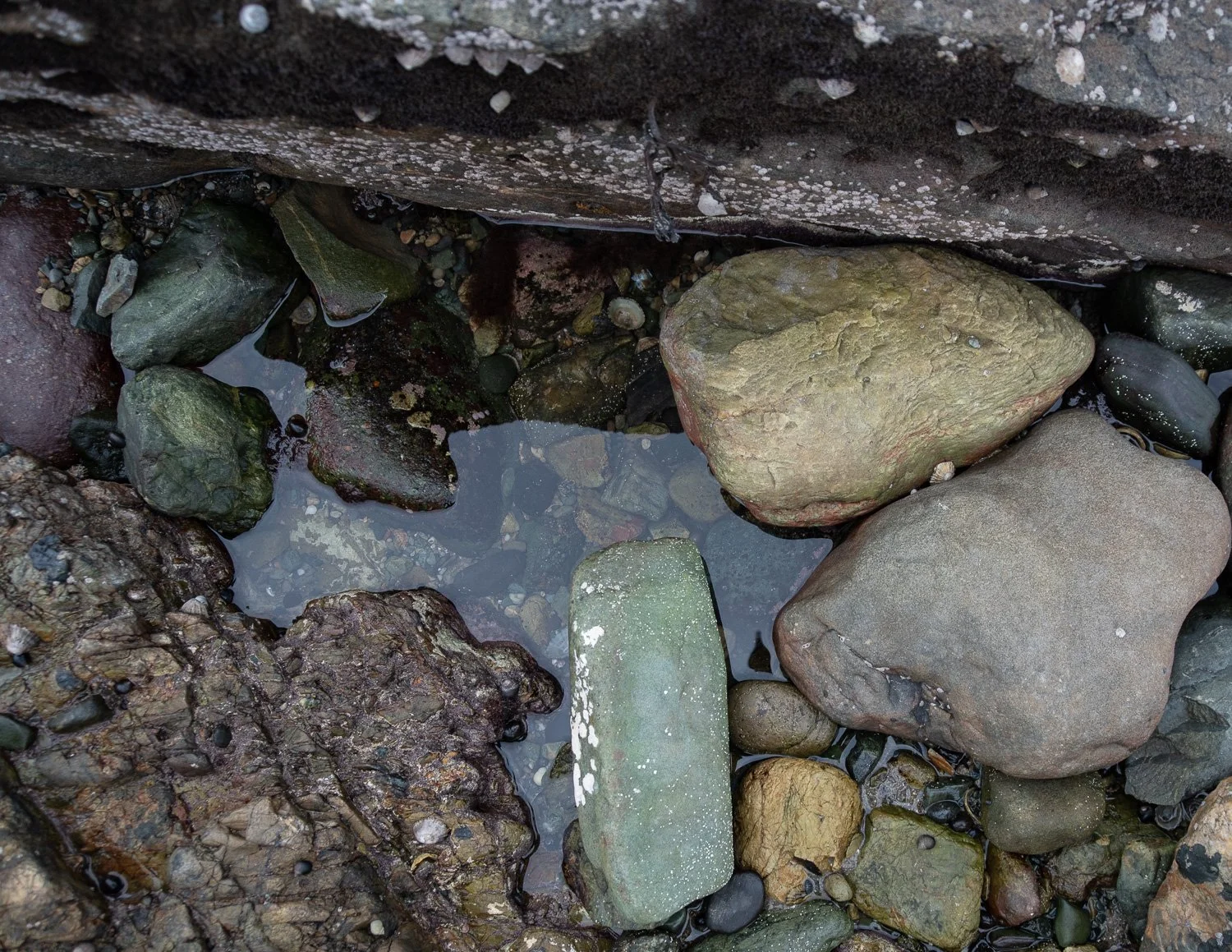 Church bay Anglesy PEBBLES-25.jpg