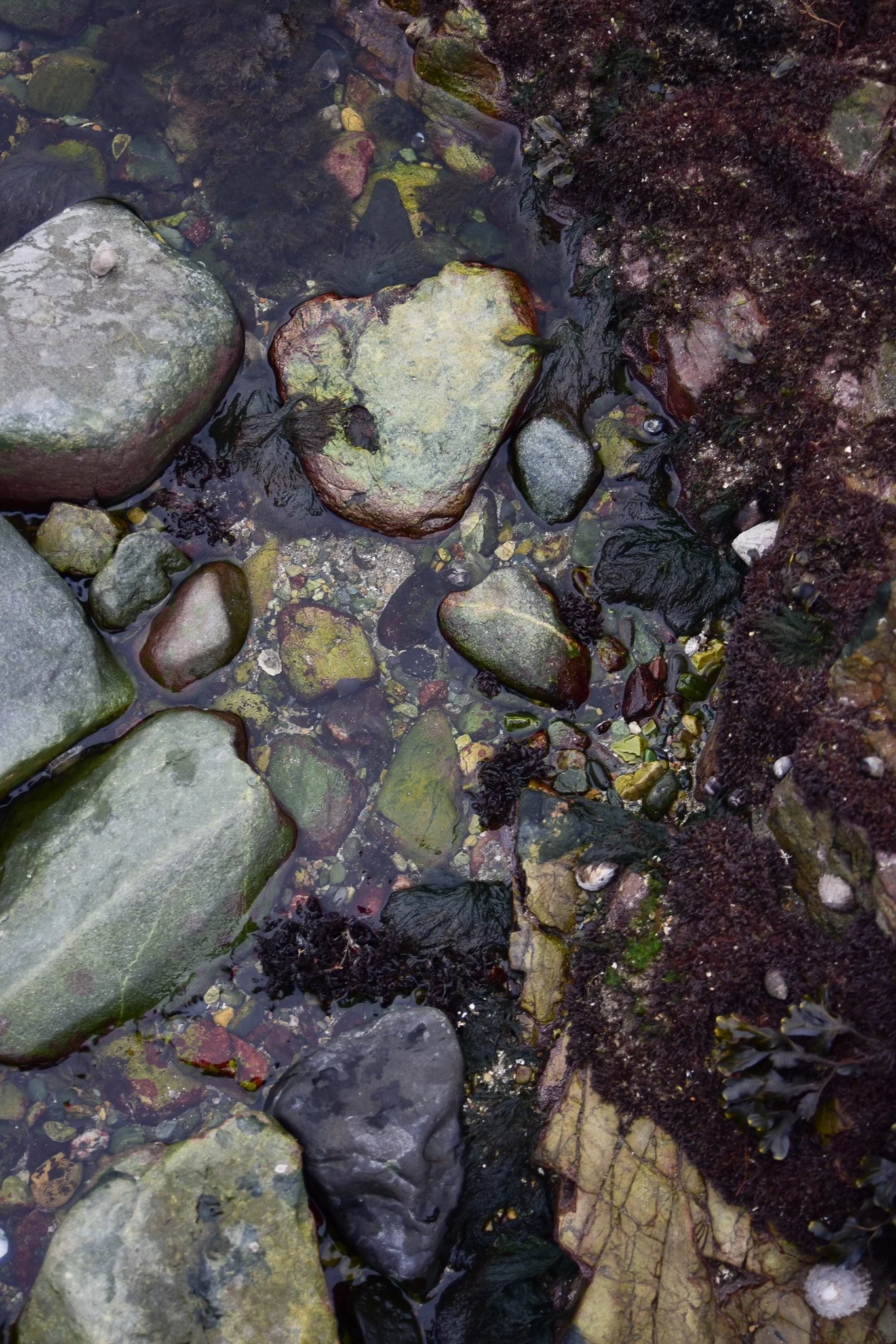 Church bay Anglesey
October 2025
Rock formation and Rock pools
