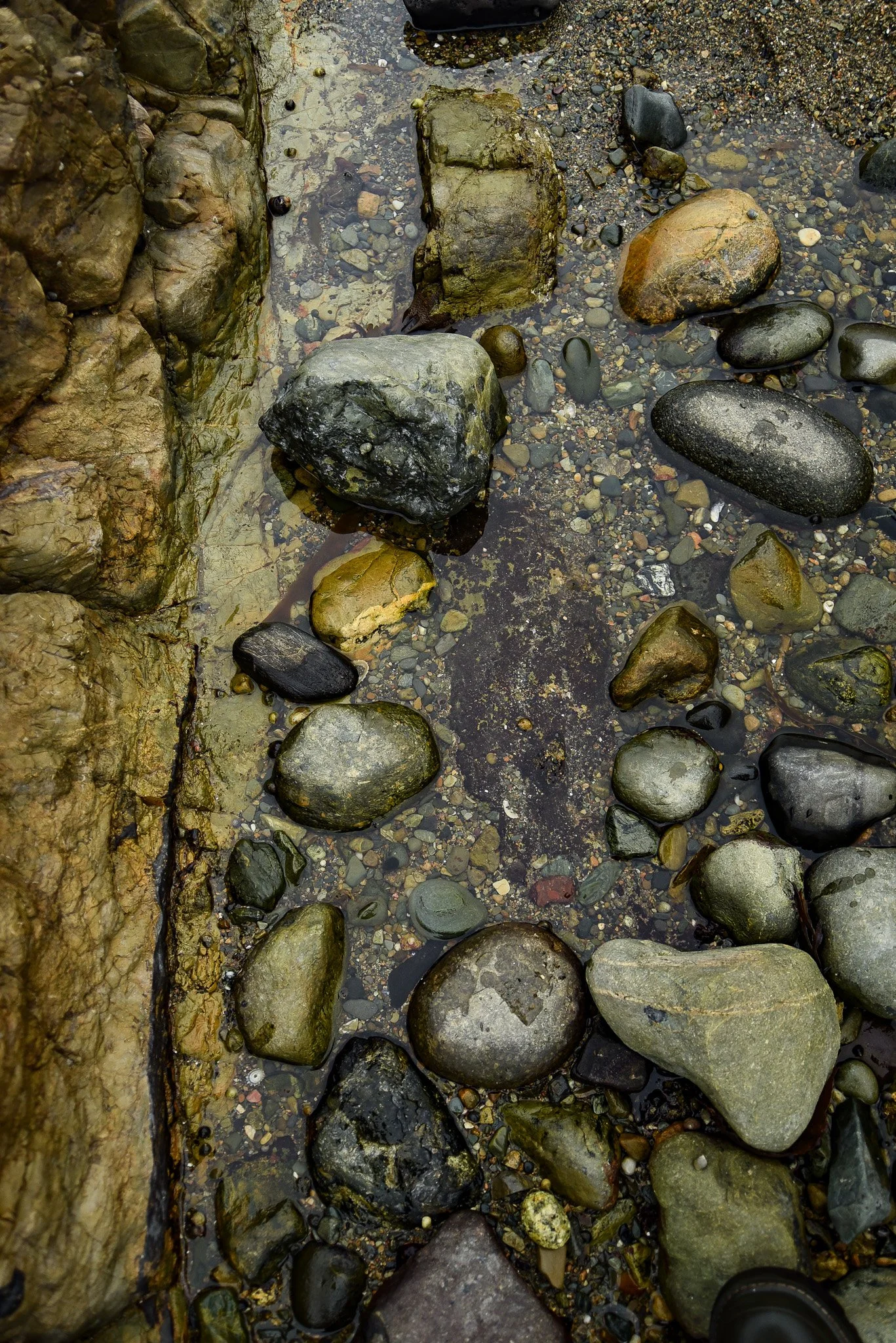 Church bay Anglesey
October 2025
Rock formation and Rock pools