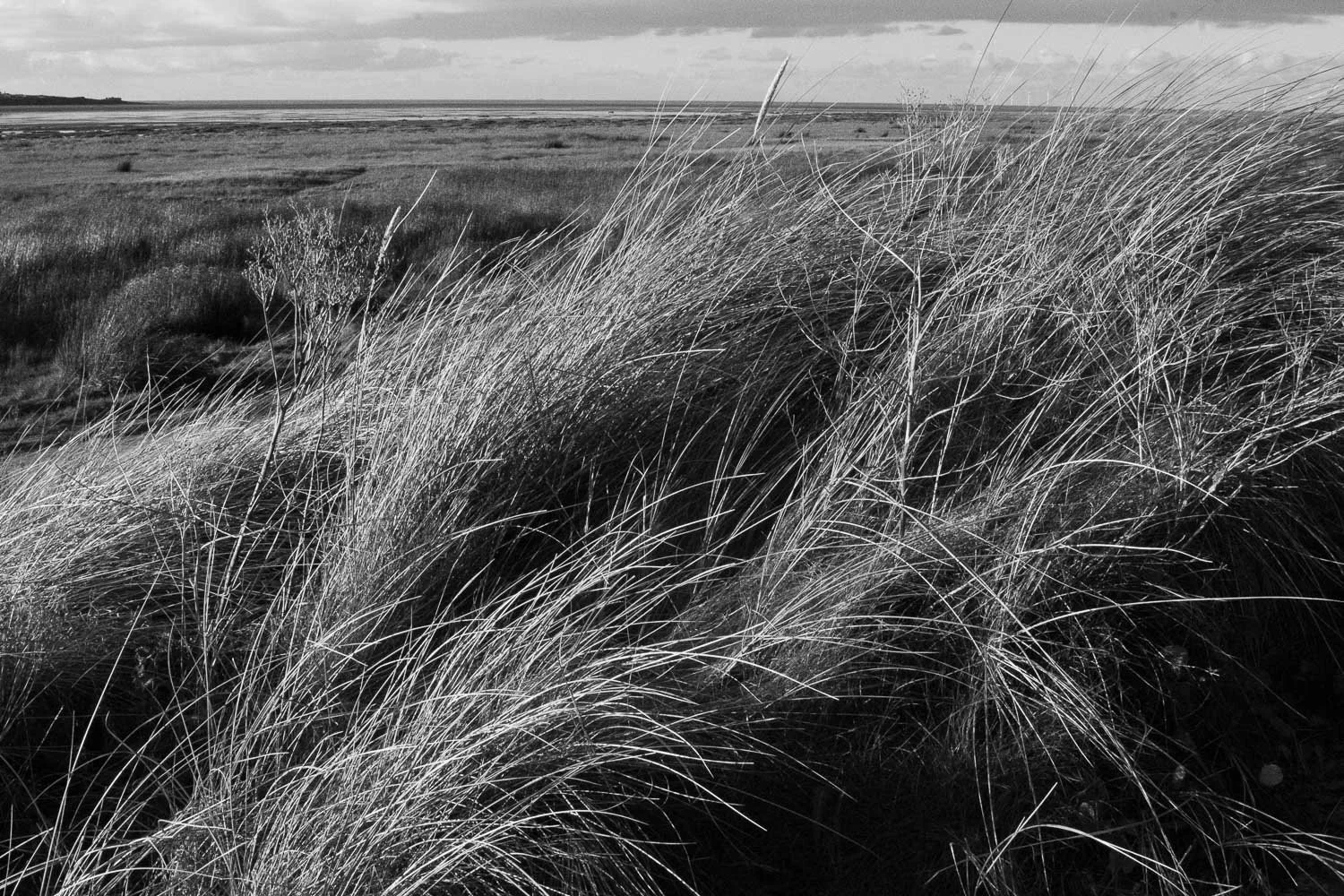 final fixed grases and dunes westkirby-1.jpg