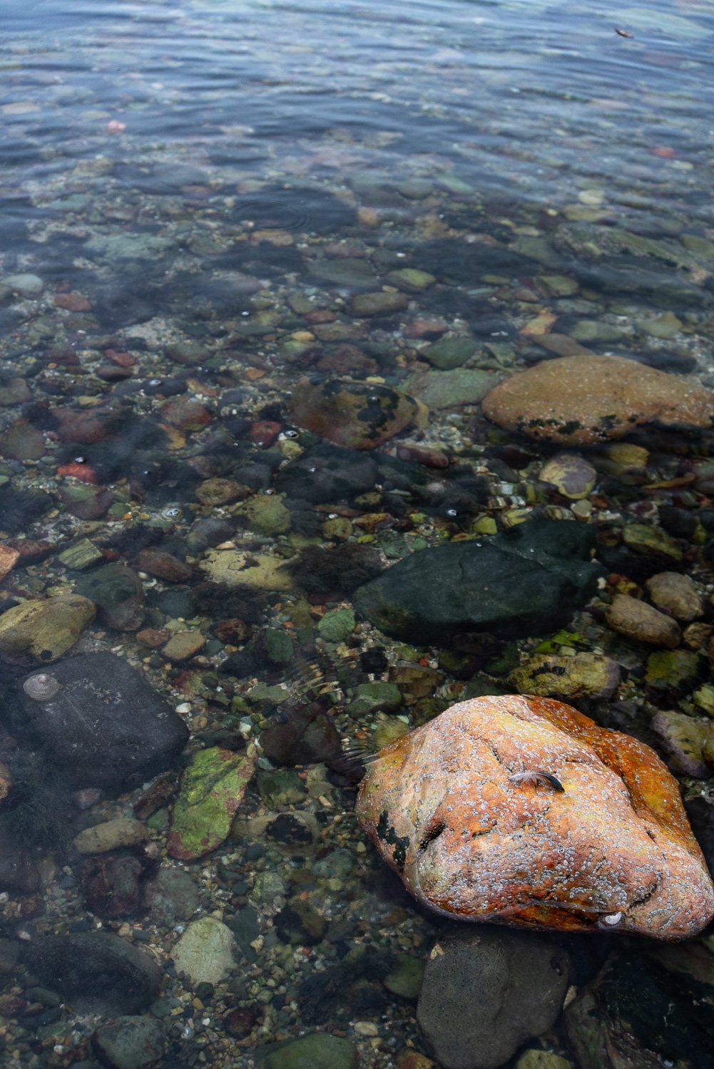 Church bay Anglesy PEBBLES-32.jpg