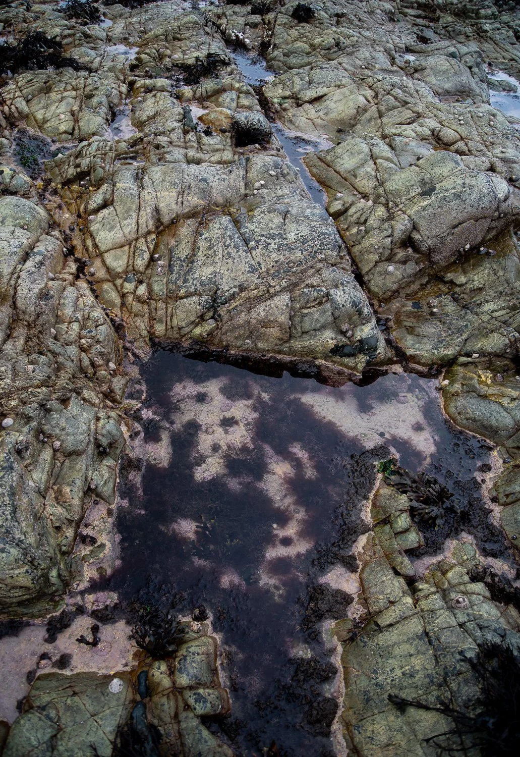 Church bay Anglesy PEBBLES-27.jpg