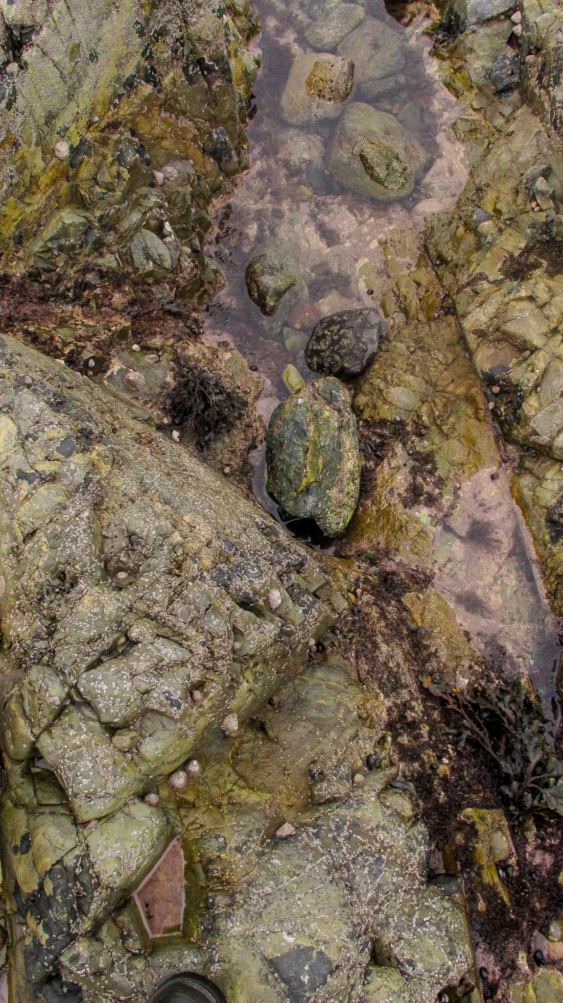 Church bay Anglesey
October 2025
Rock formation and Rock pools