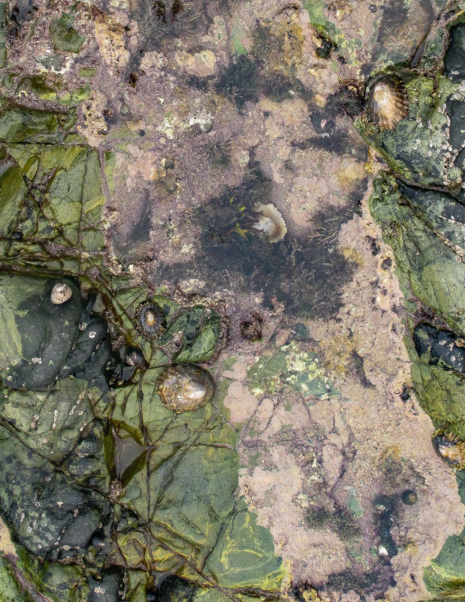 Church bay Anglesey
October 2025
Rock formation and Rock pools