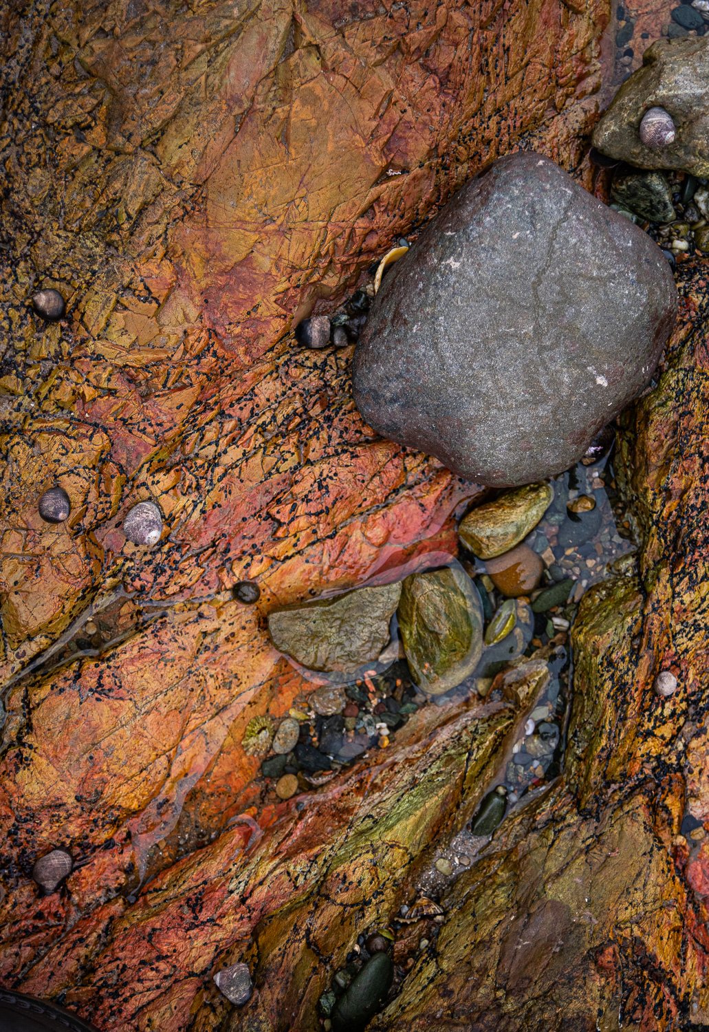  
   Click Image to View Available Prints  
   Title: Pebbles 
   This is the description for the print if you want it but you don't have to have a description 
 