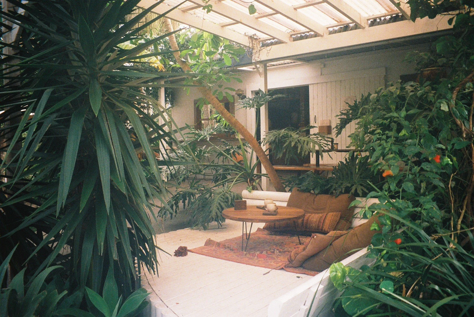 Biophilic Design and Human Health: Rethinking Nature as a Therapeutic Infrastructure.