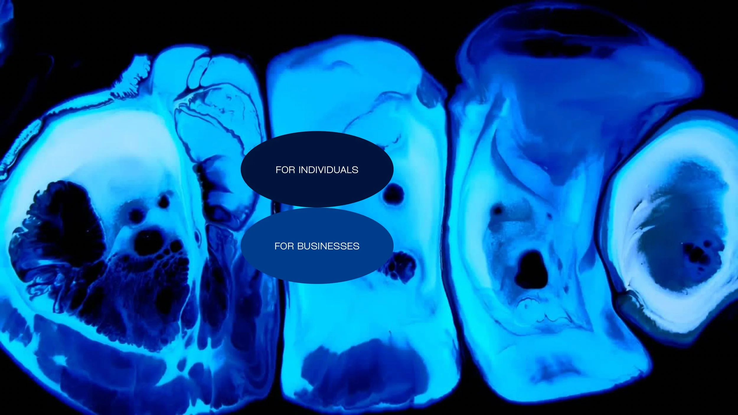 Copy of Untitled Design.jpg