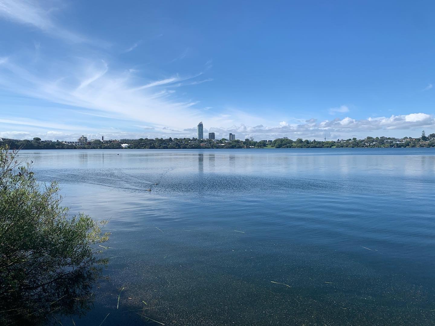 This mornings view🩵💚Sitting in our favourite spot by the lake watching and listening to all the birds 🦢🦆🪿