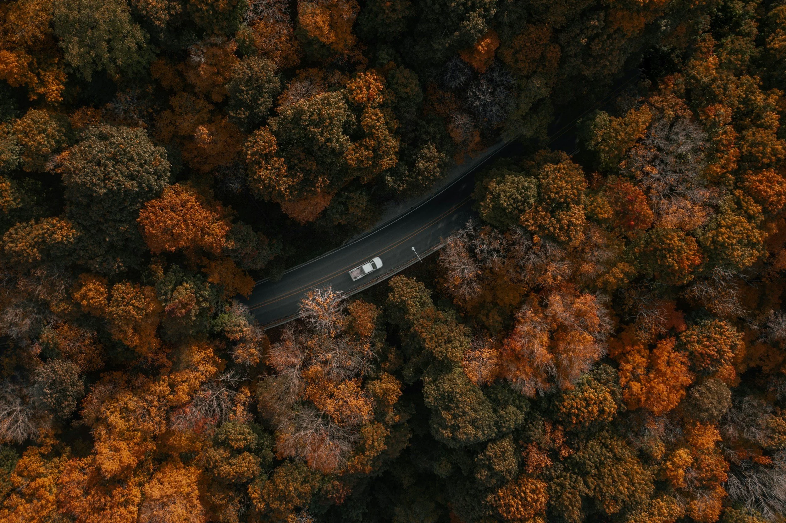 unsplash-image-nVXyRq90JF4.jpg