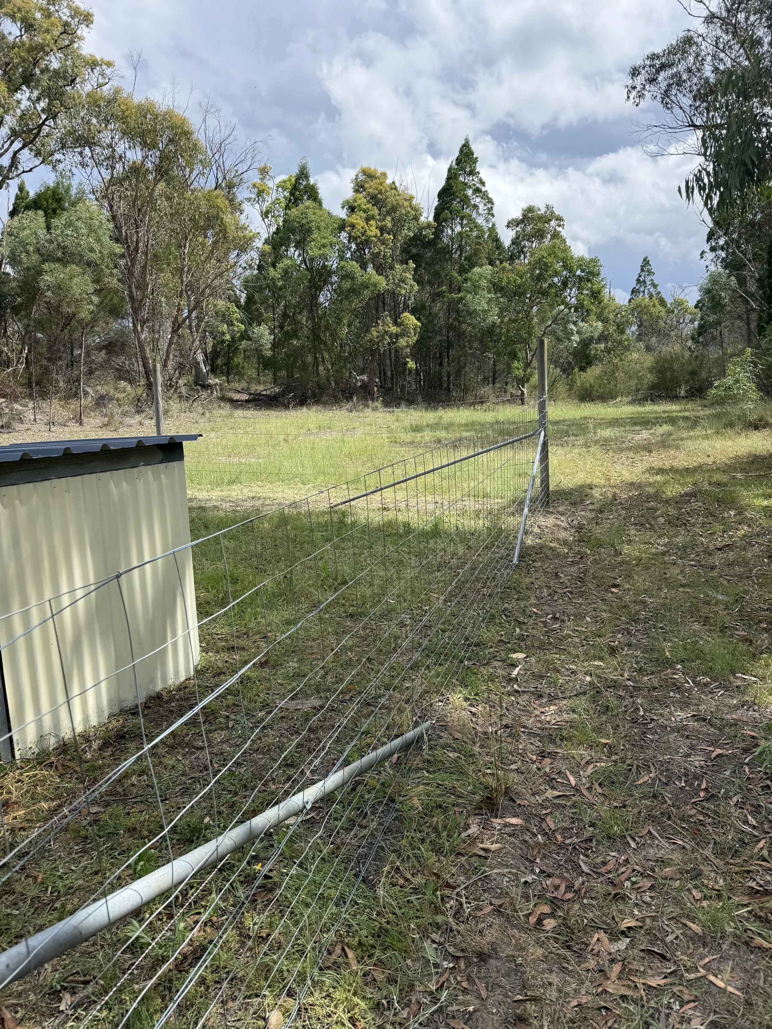Animal enclosure fencing installation for rural properties, farms and acreage.