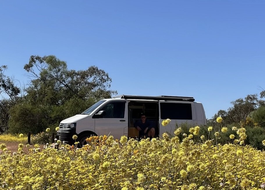 WA Wildflower Season, A Campervan Guide Through the Wheatbelt