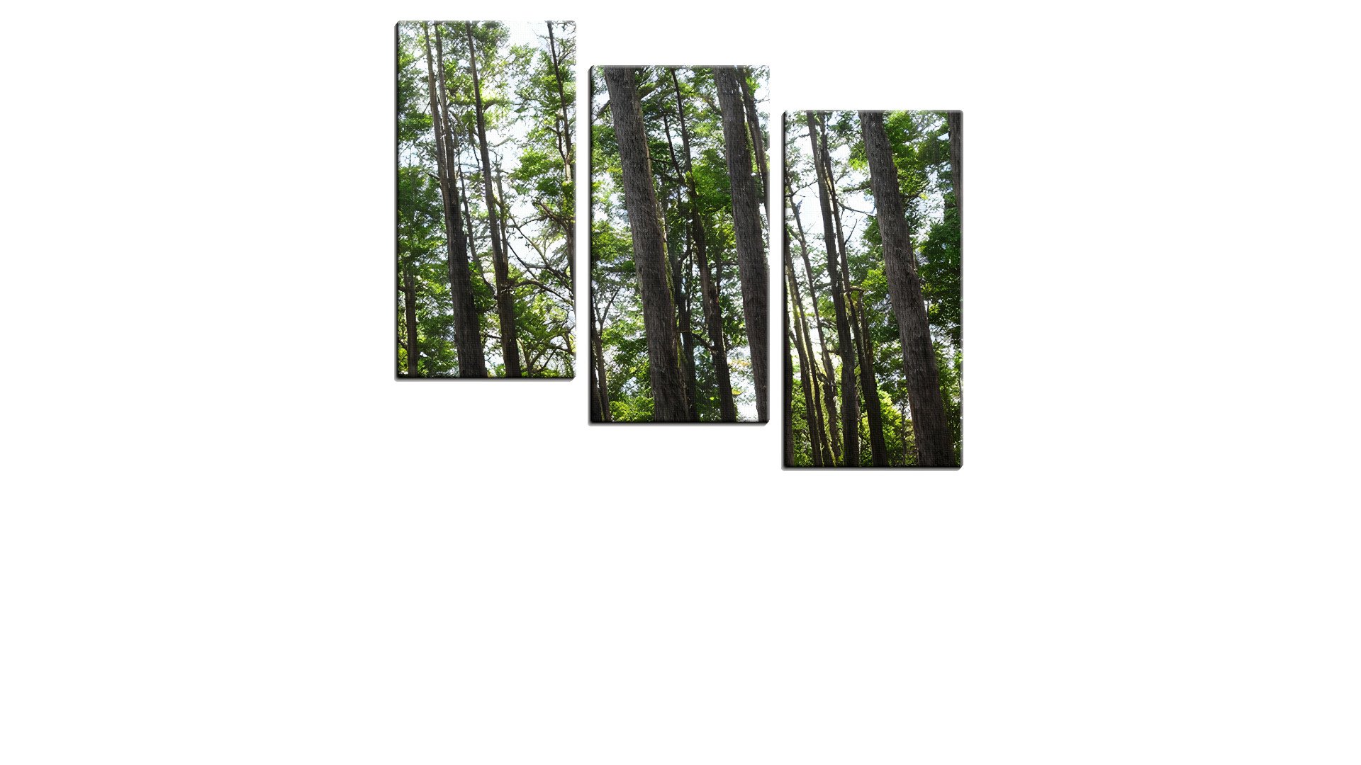 1400183PLAThumbnail.jpg