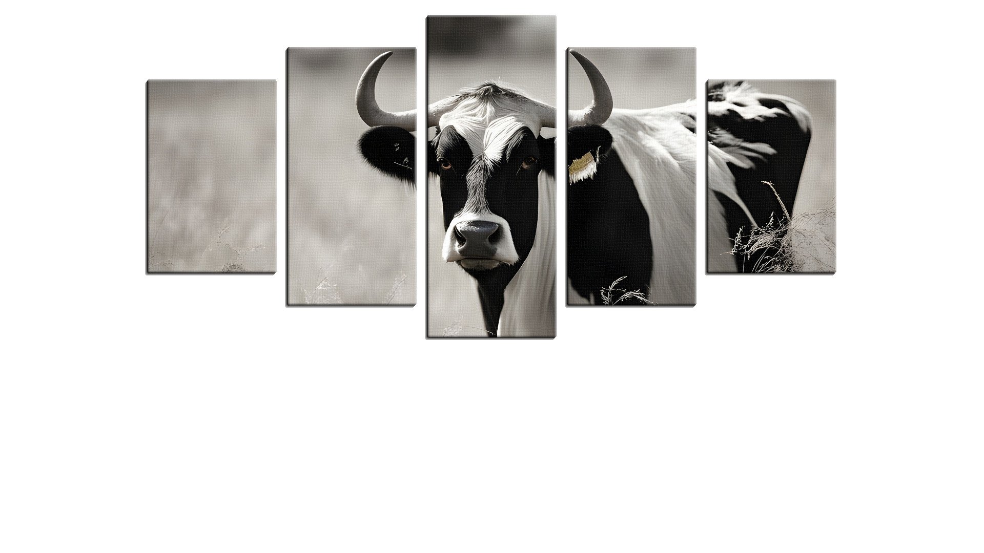 Curious Milk Cow