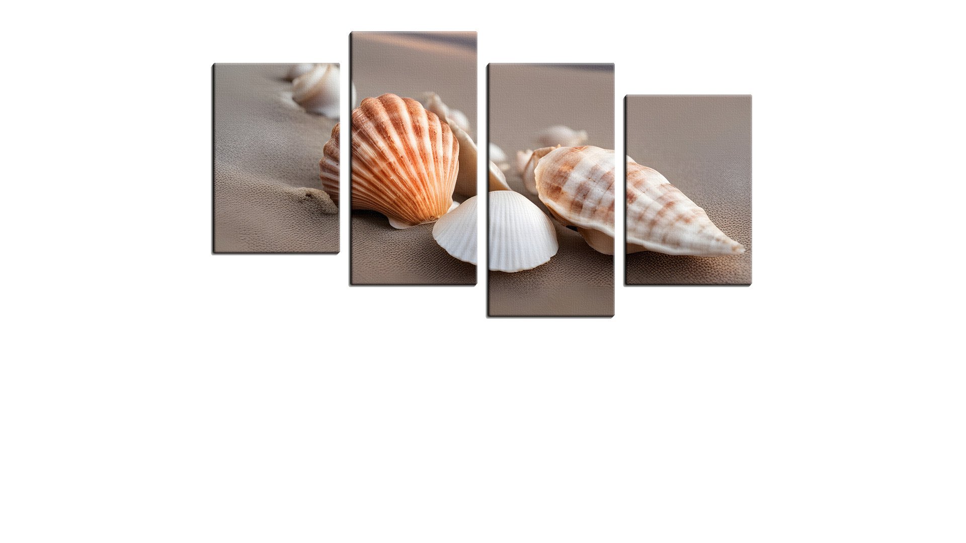 Beach with some Shells