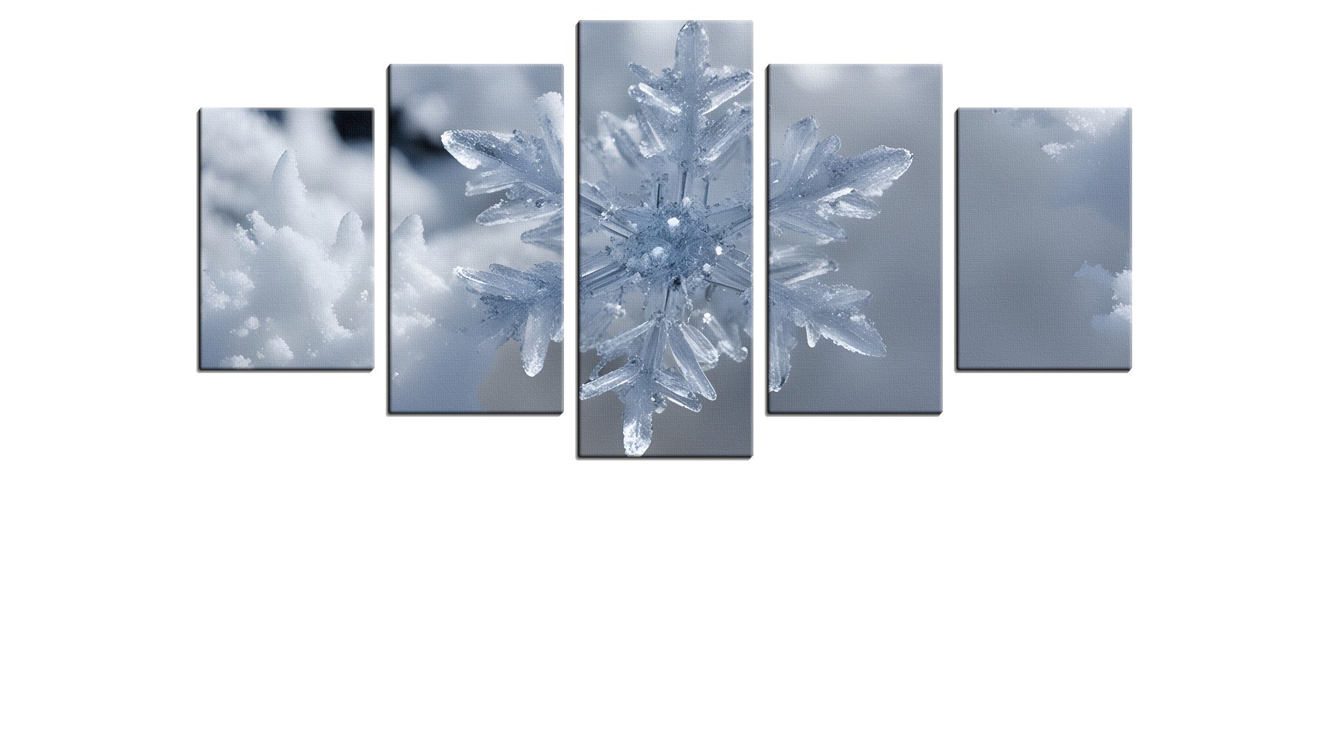 Single Crystalline Snow Flake
