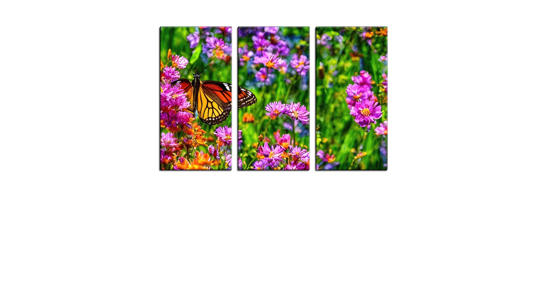 1400043PSAThumbnail.jpg