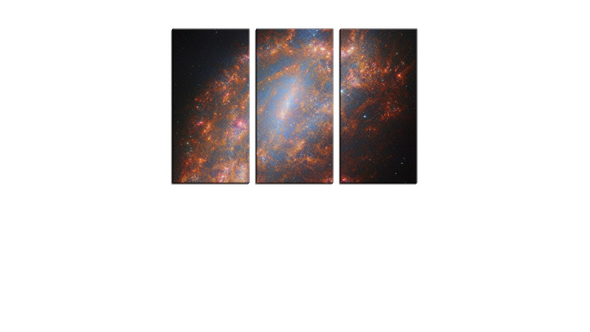 4900273PSAThumbnail.jpg
