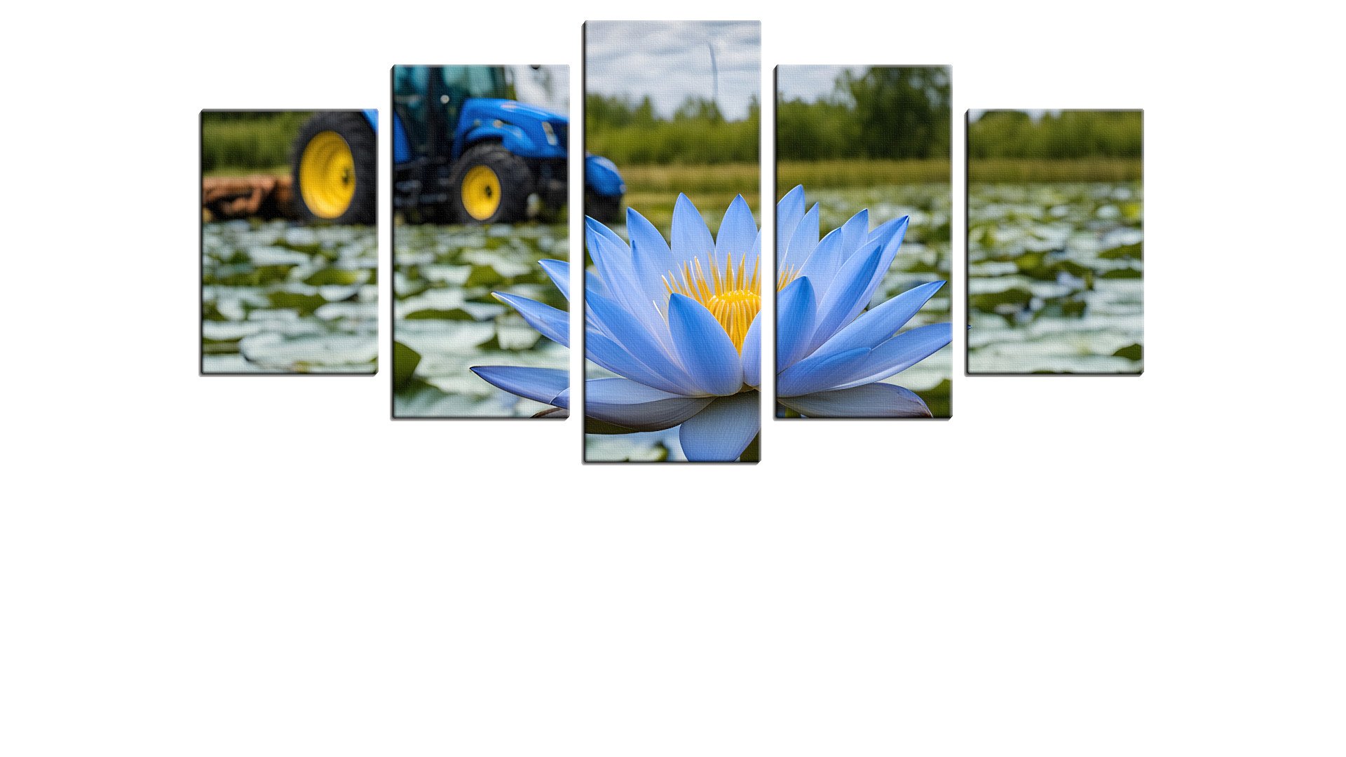 Tractor in a swamp of Blue Flowers