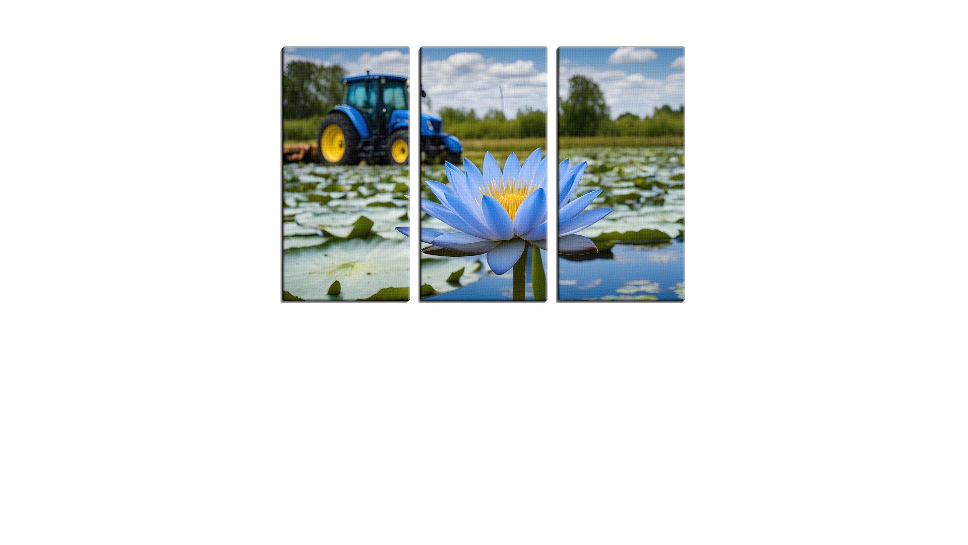 Tractor in a swamp of Blue Flowers