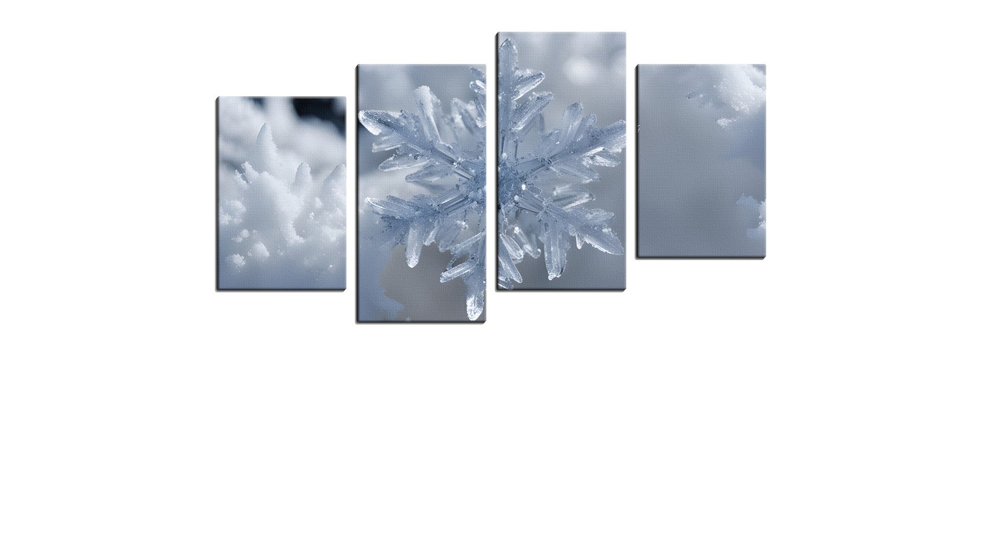Single Crystalline Snow Flake