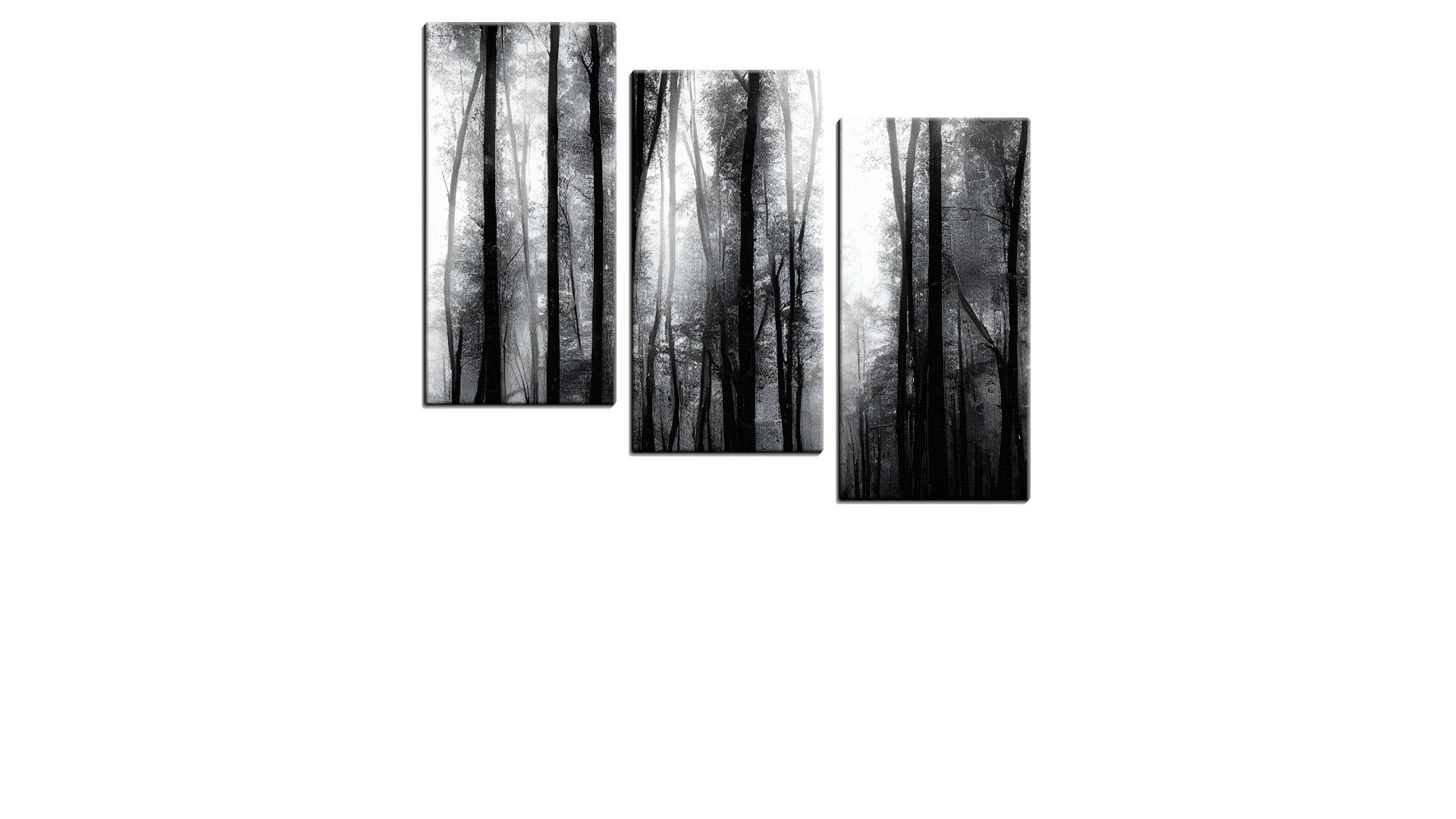 Misty and Spooky Forest in Black