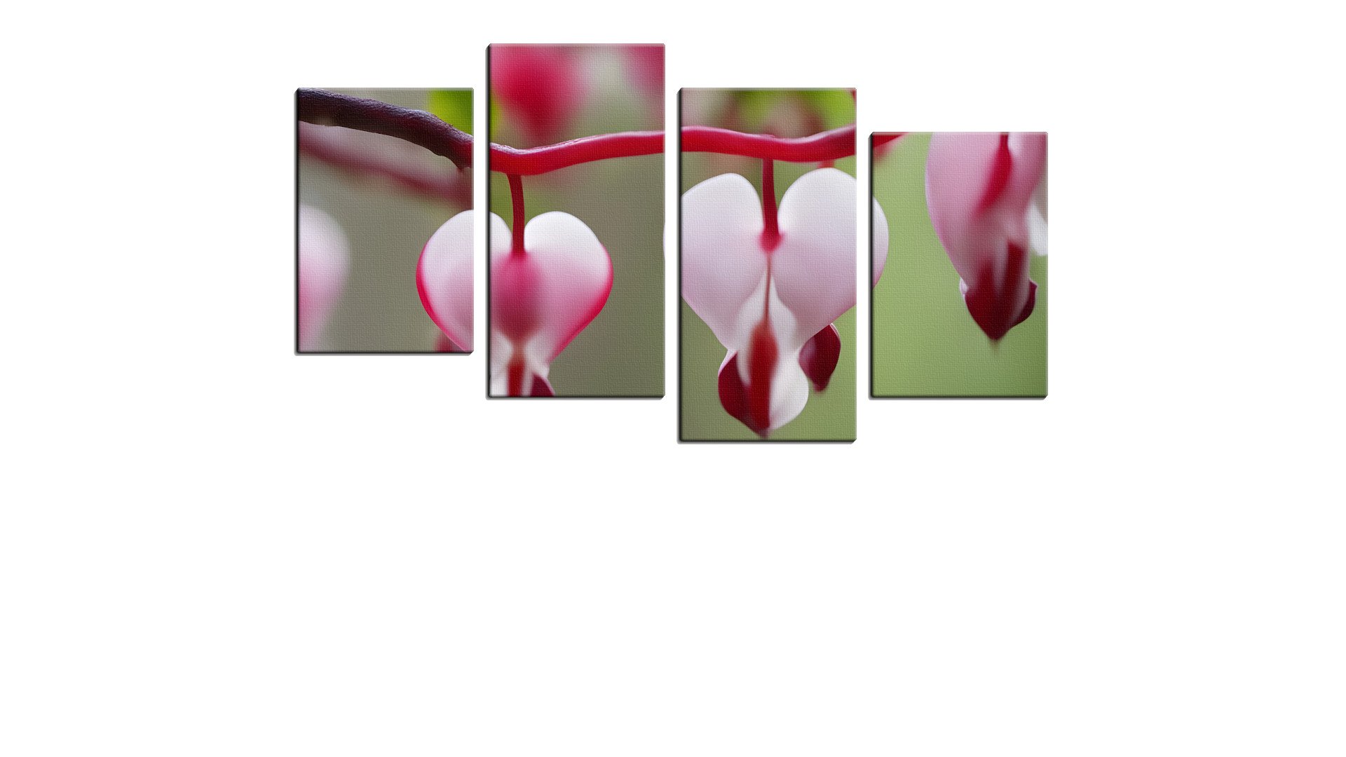 Pair of Bleeding Heart Leaves