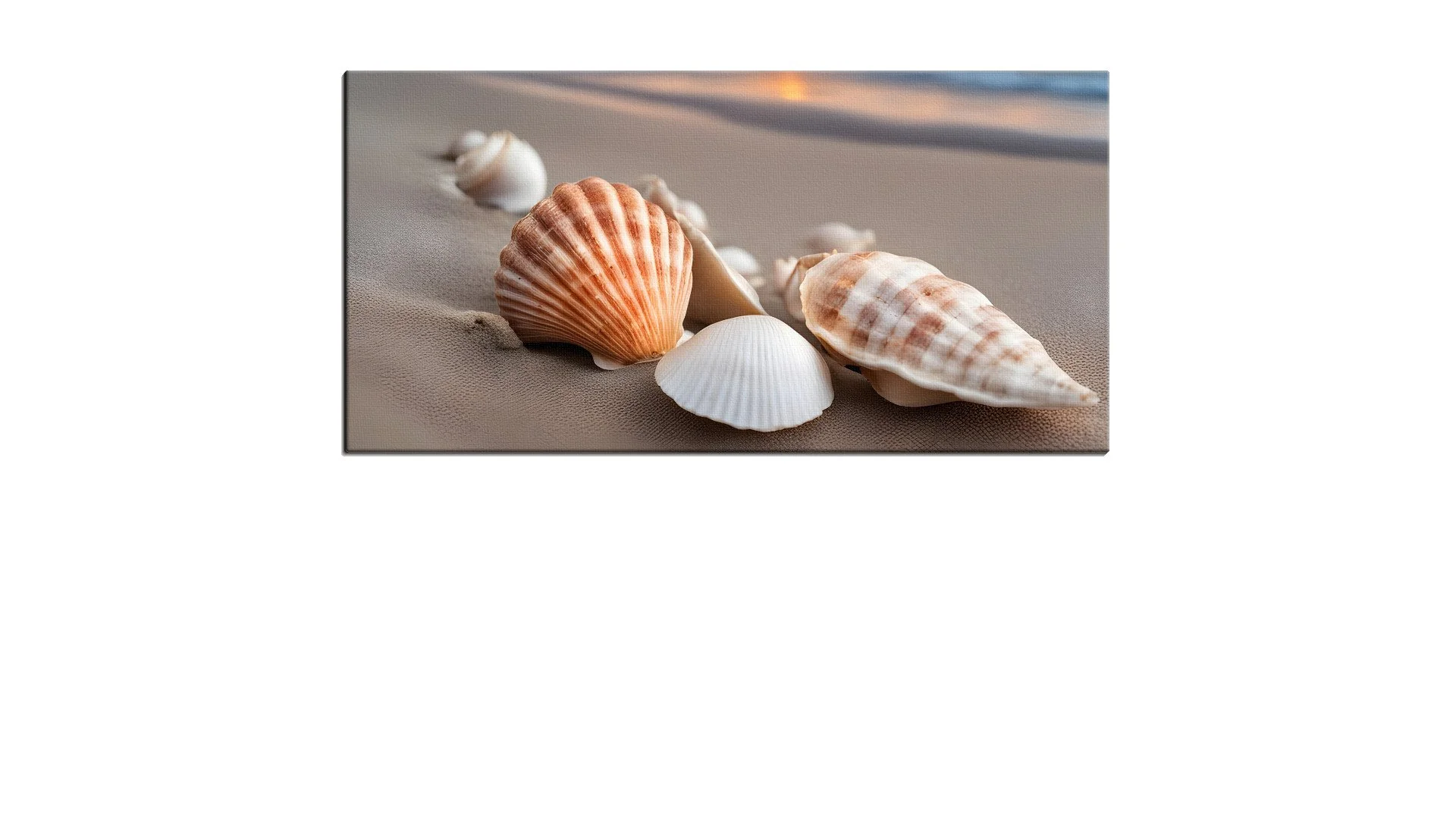 Beach with some Shells