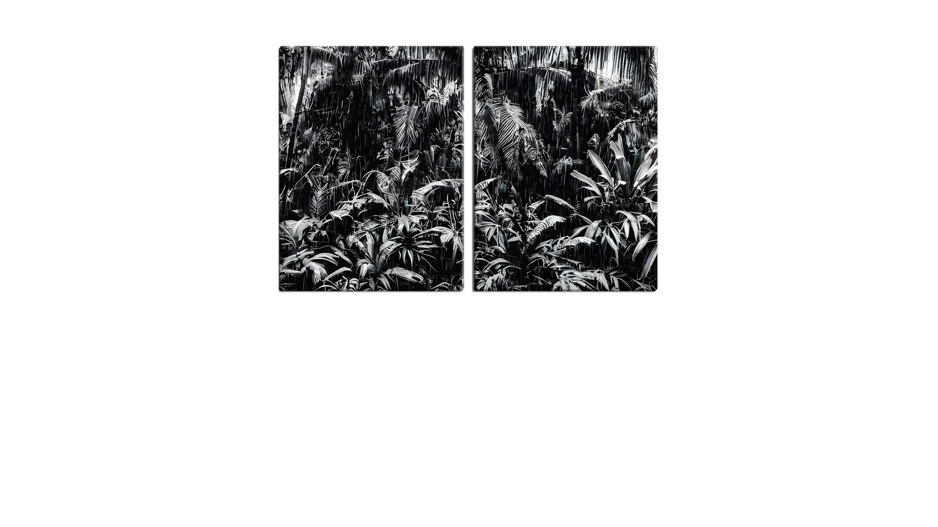 Monochrome Jungle with no Way Through