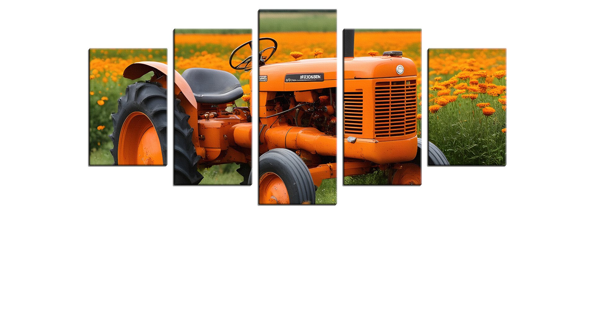 Tractor in a field of Orange Flowers