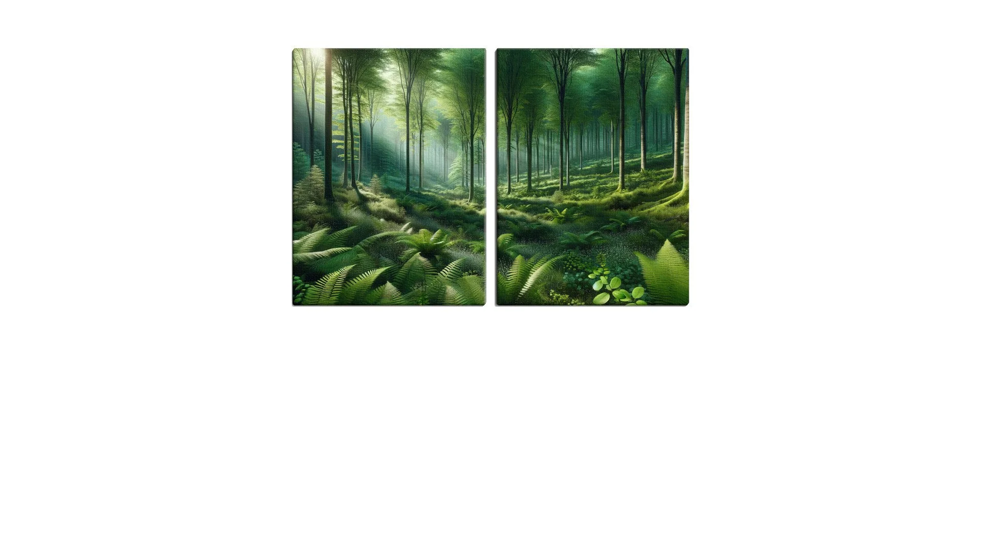Beautiful Shaded Green Forest