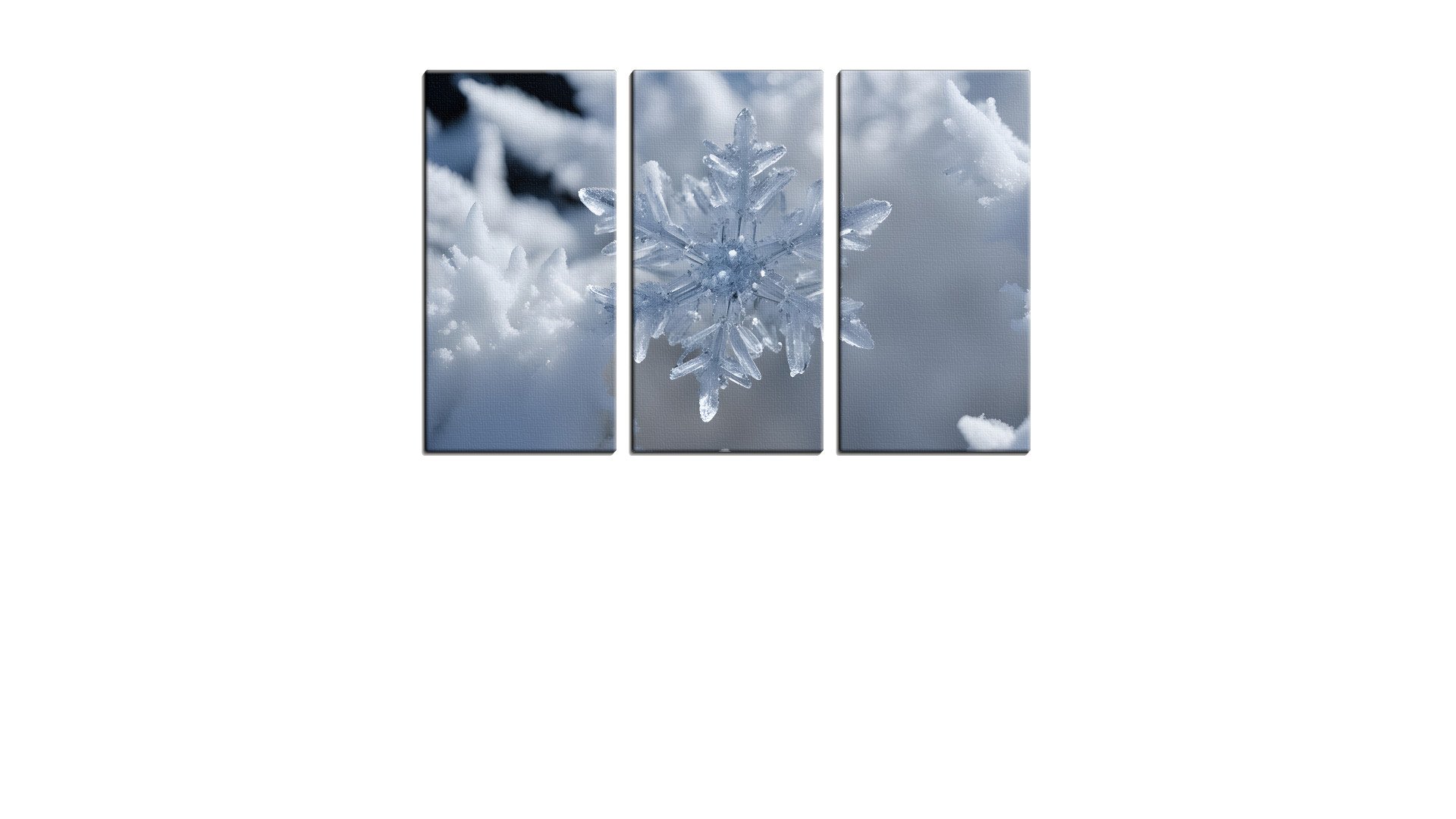 Single Crystalline Snow Flake