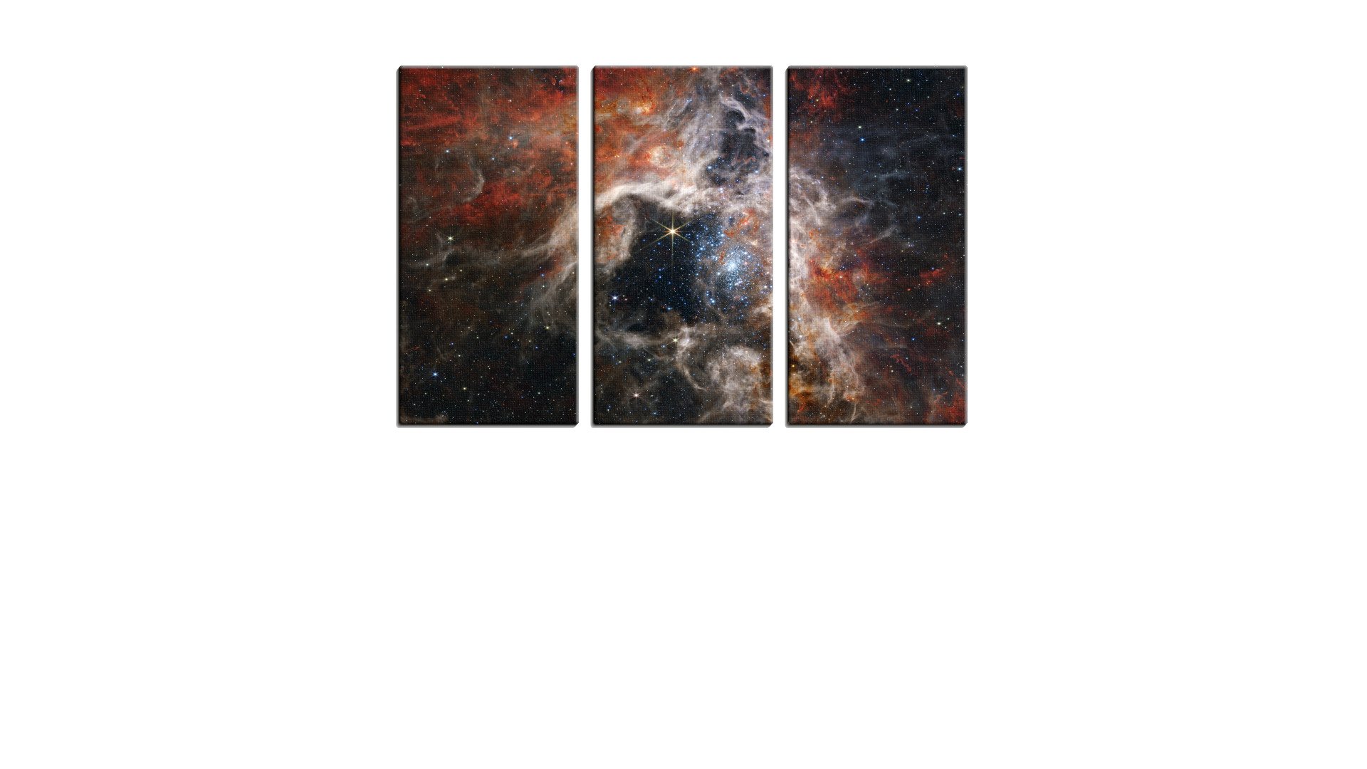 Webb Image of the Tarantula Nebula