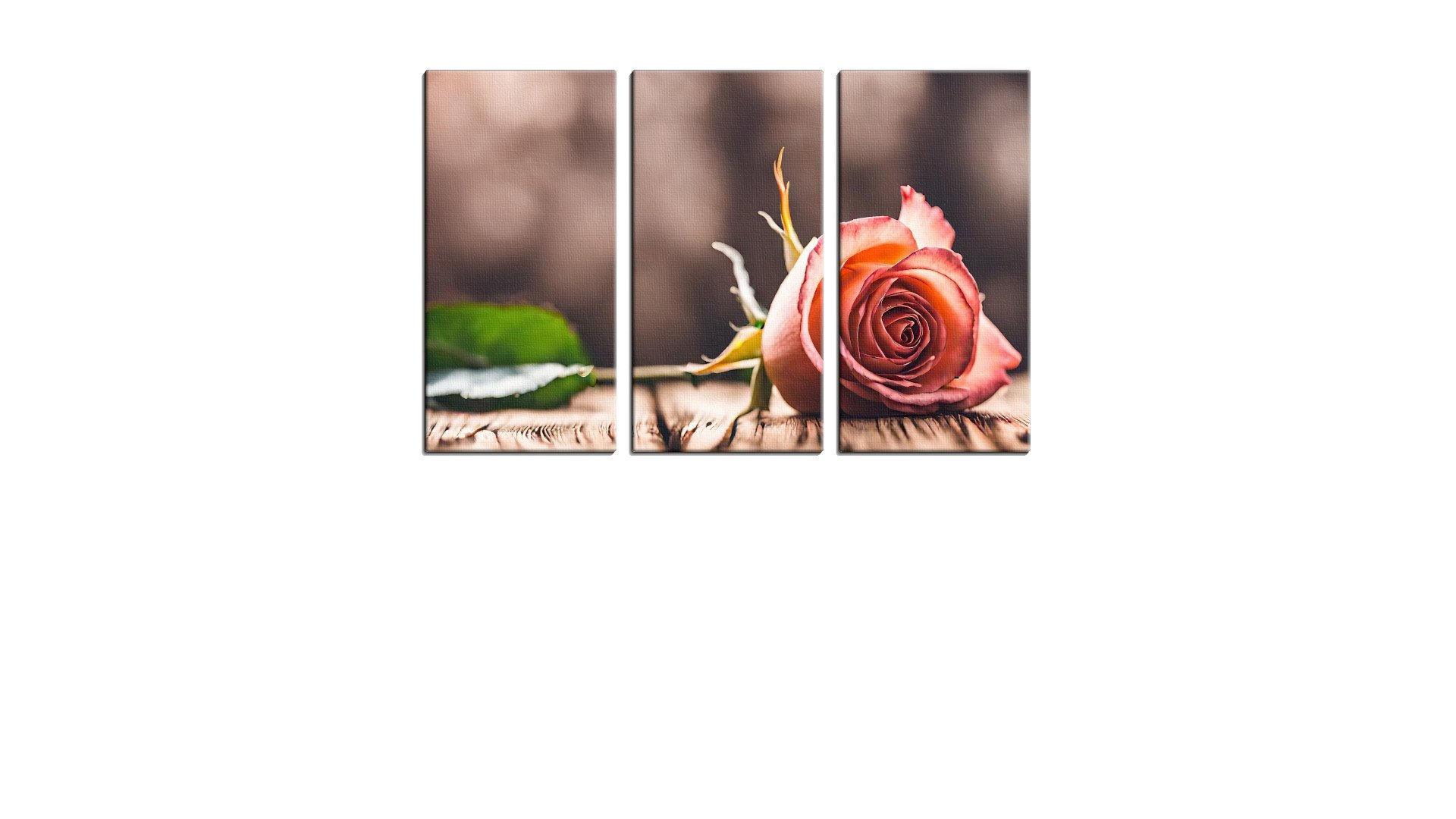 Lone Rose on the Table