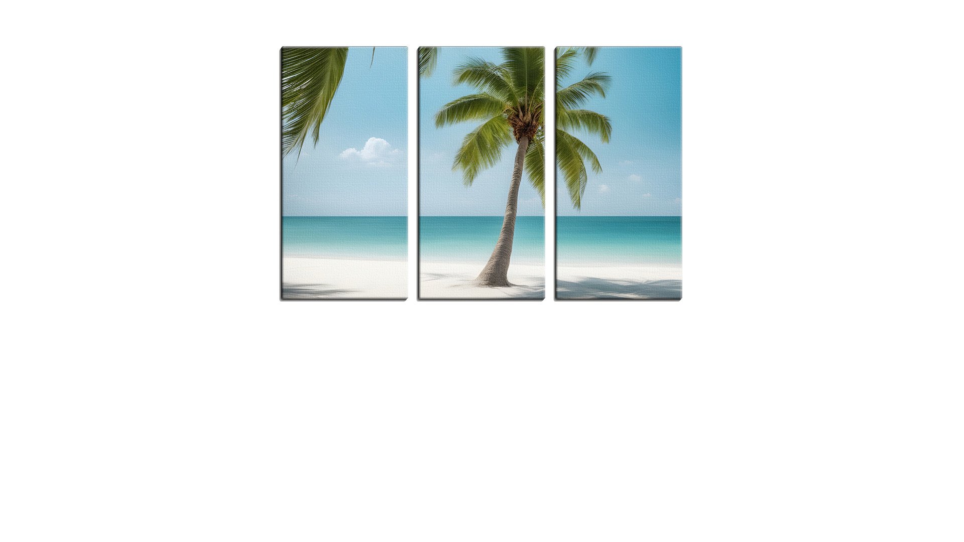 Lone Palm Tree on a White Sandy Beach
