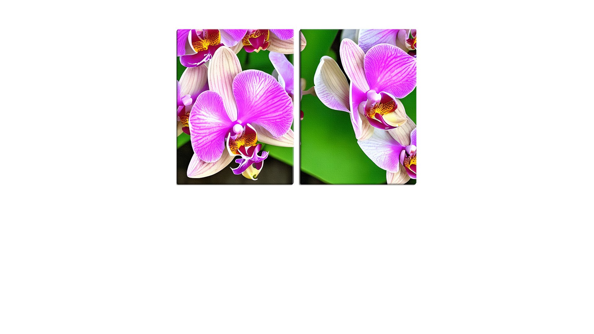 Flurry of Pink Orchid Flowers