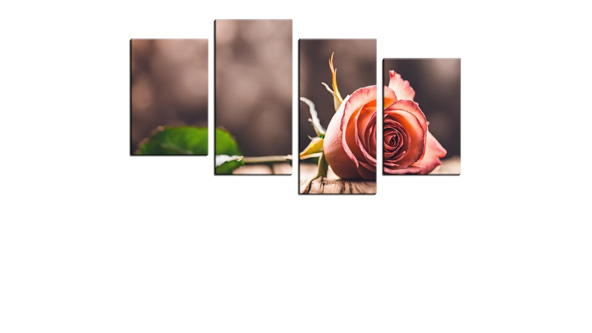 Lone Rose on the Table