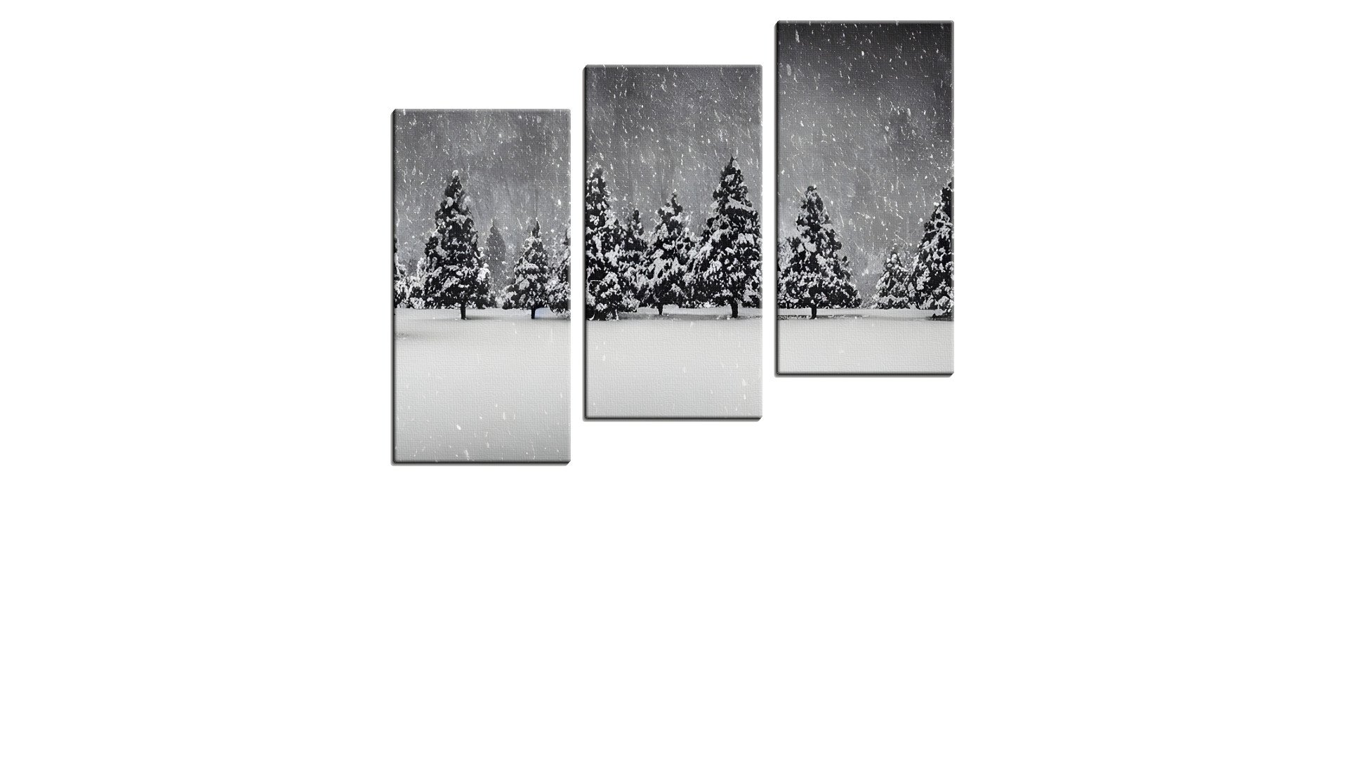 Monochrome Winter Forest in the Snow