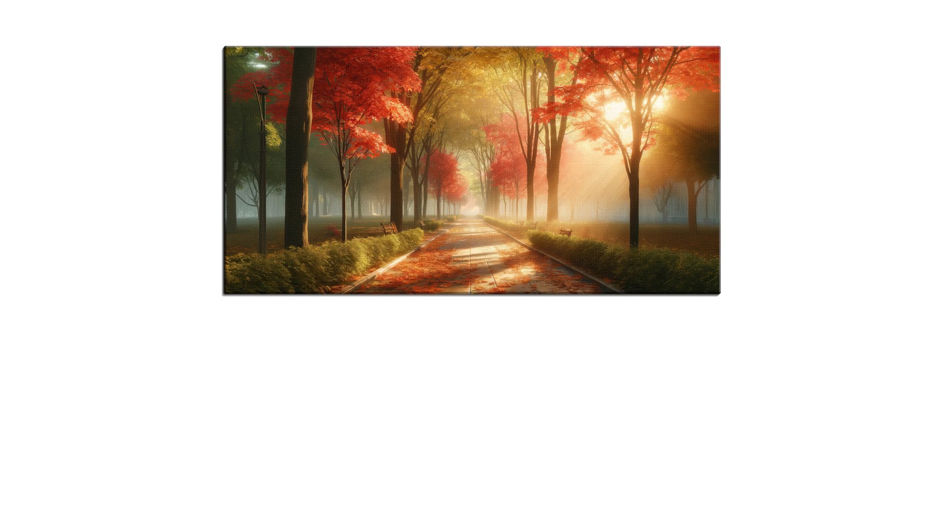 Tranquil Row Of Trees over a Gravel Road
