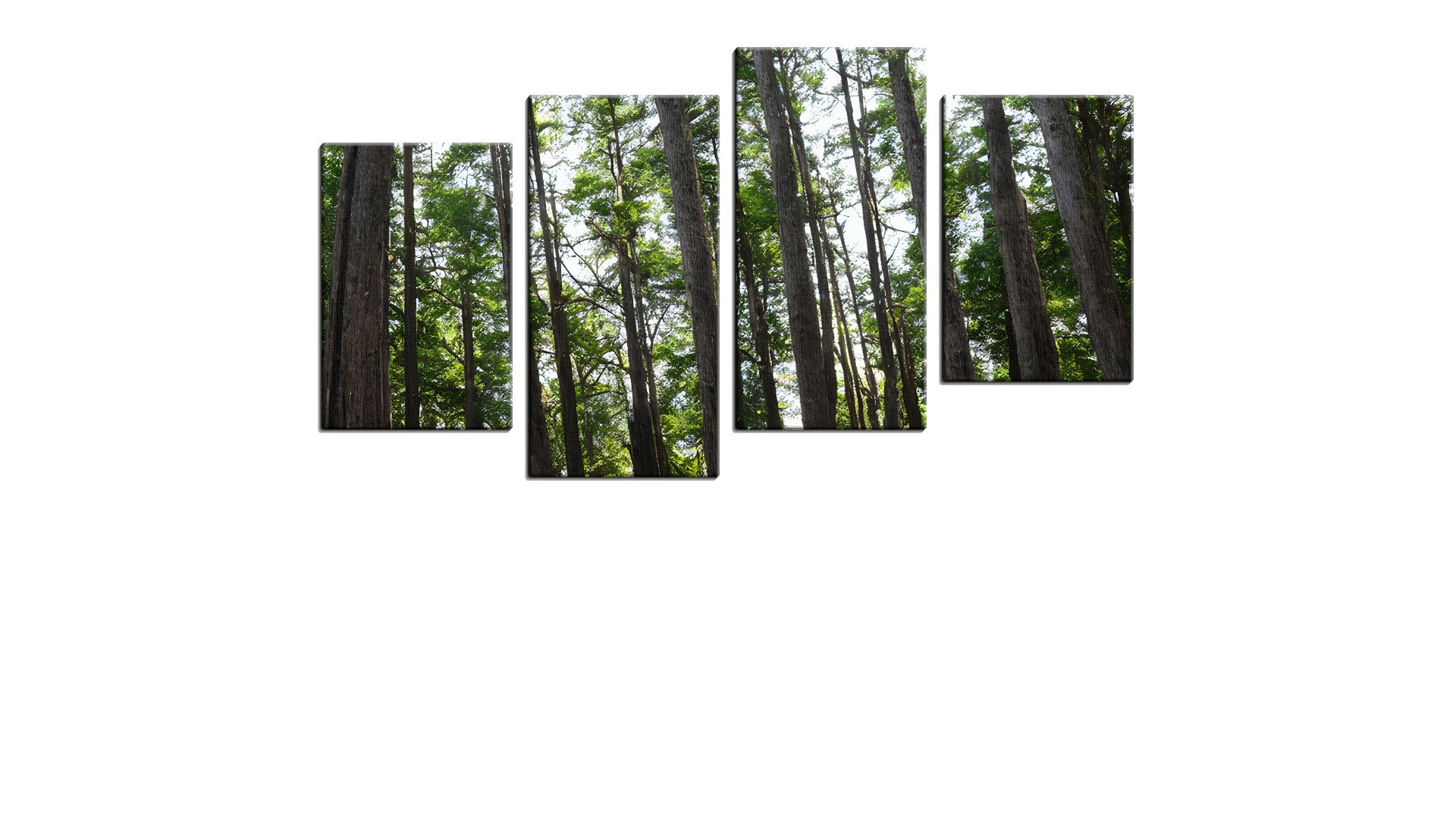 1400184PRAThumbnail.jpg