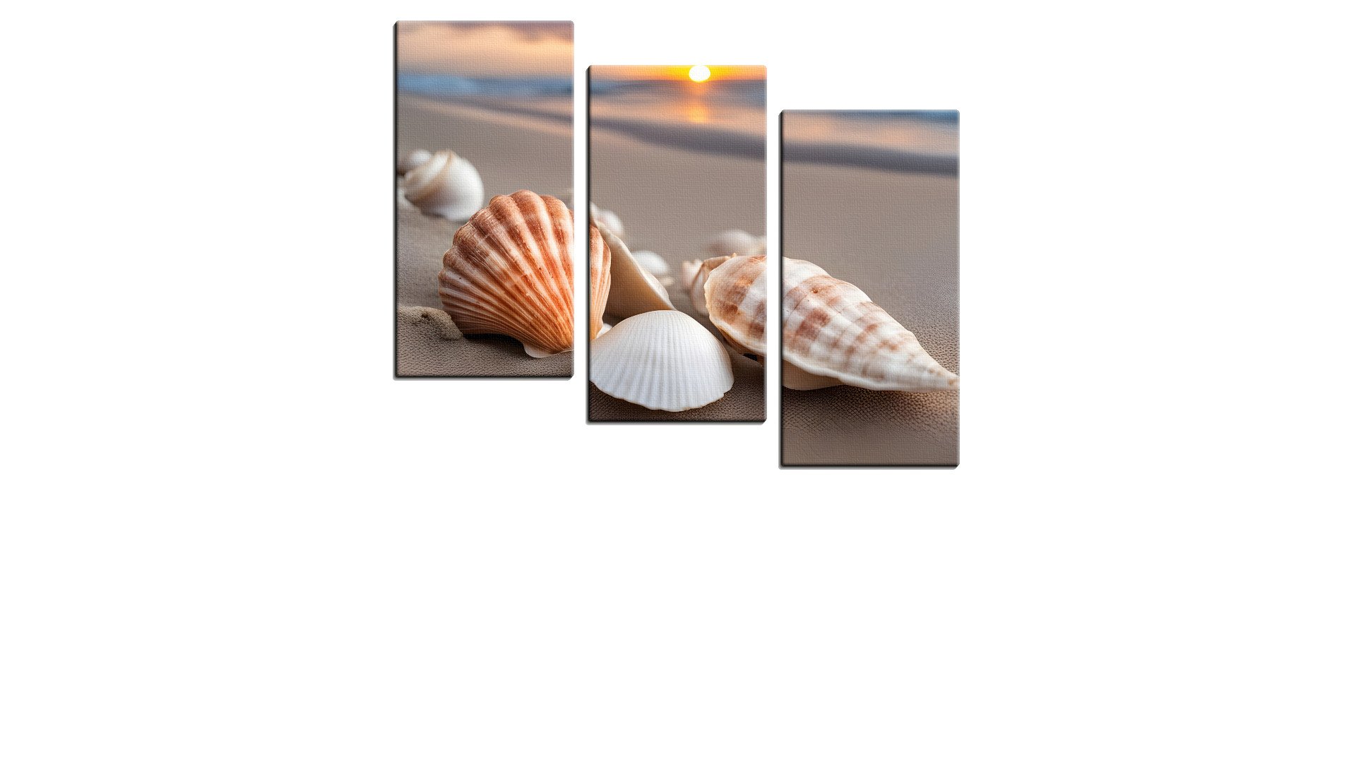 Beach with some Shells