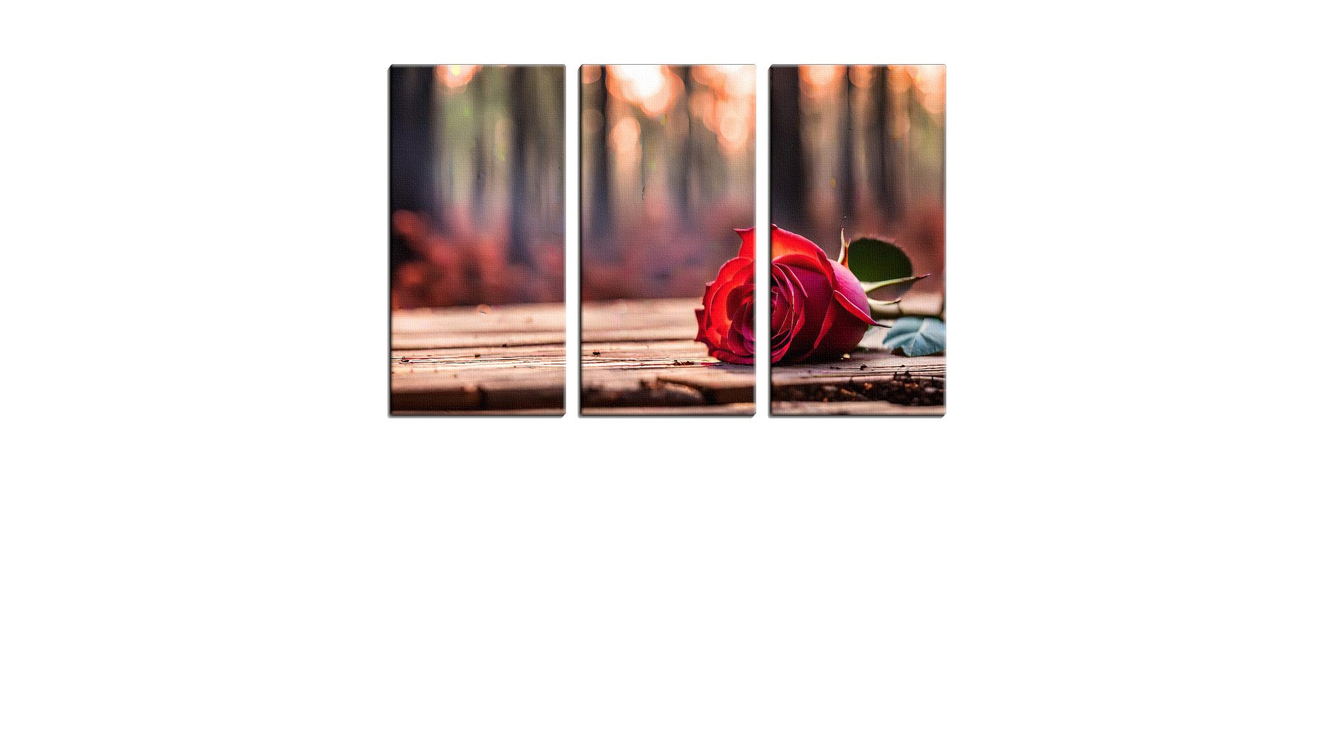 Lone Rose on the Table in Autumn