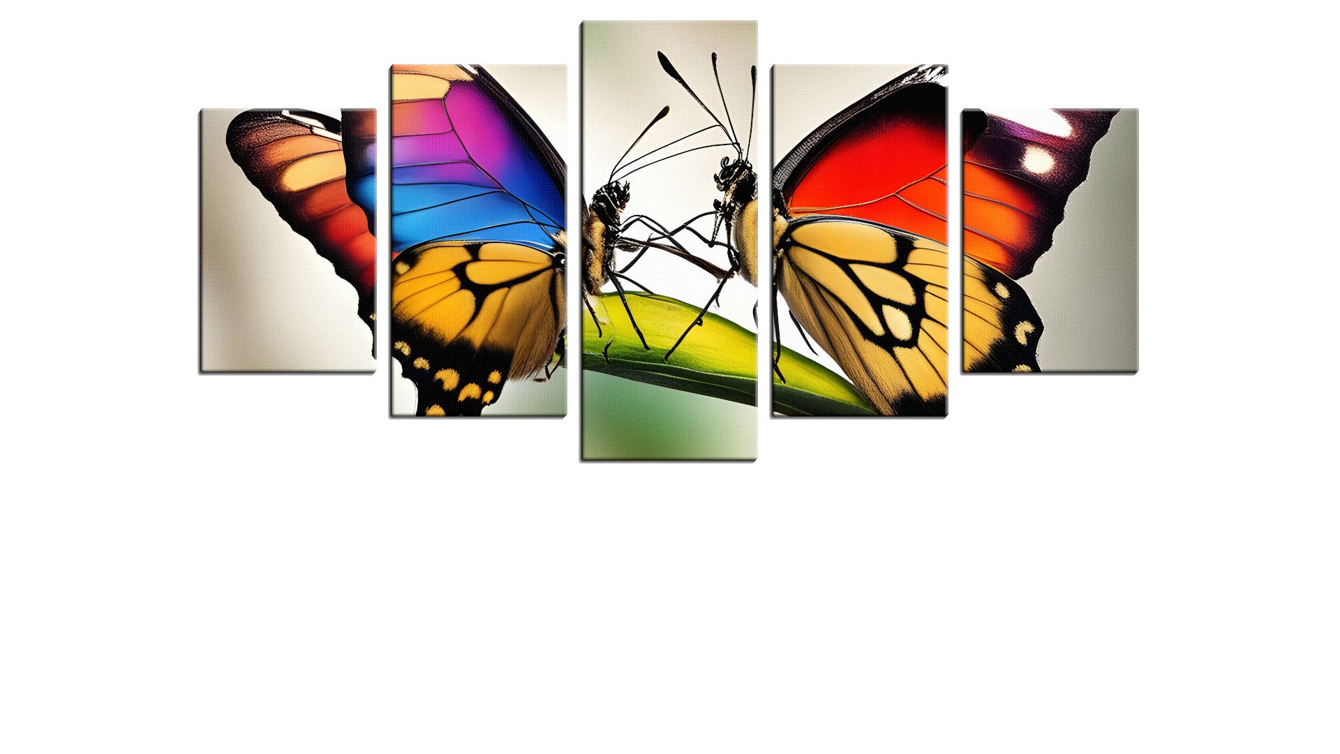 Pair of Butterflies Full of Colour