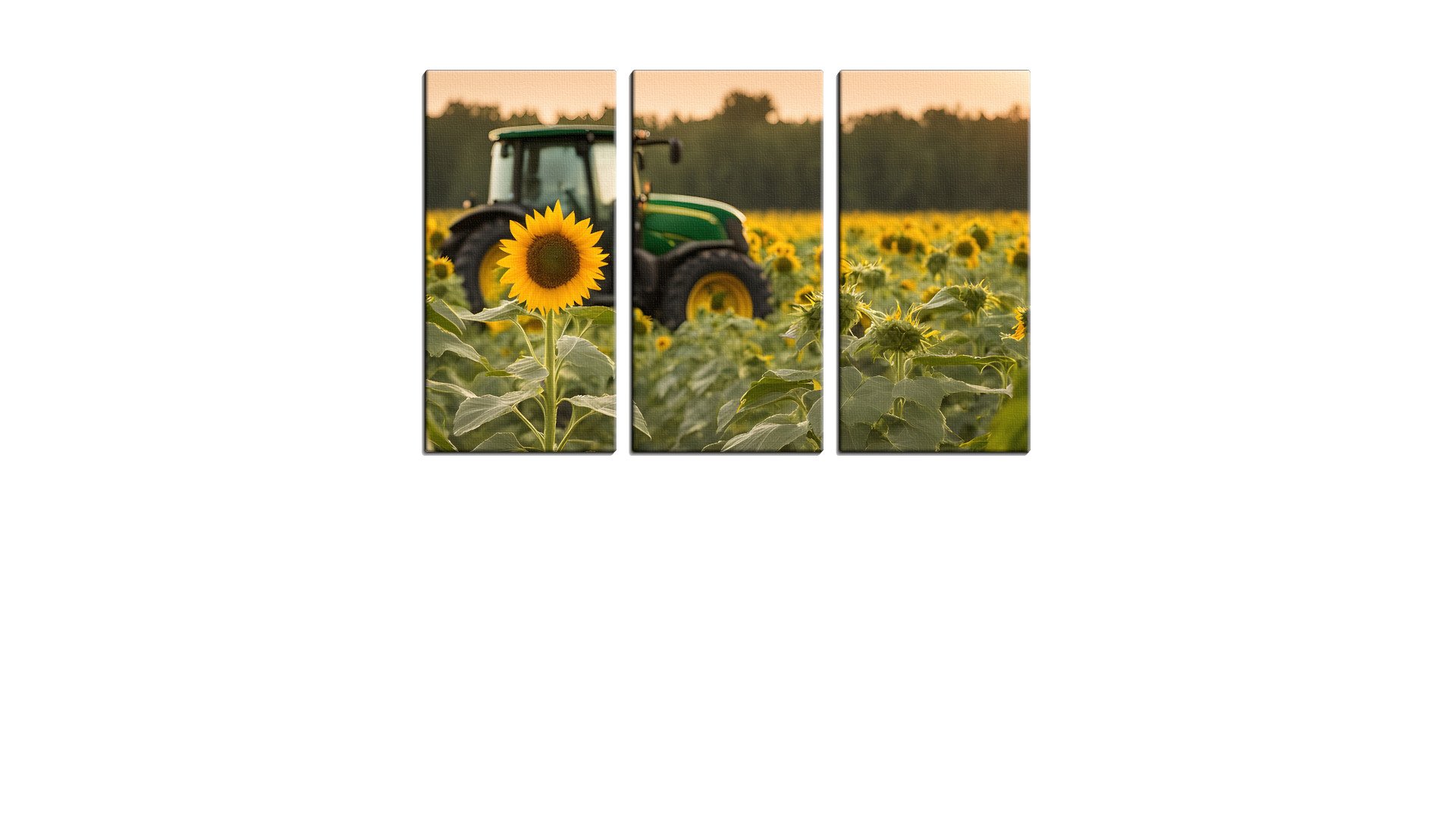 5500243PSAThumbnail.jpg