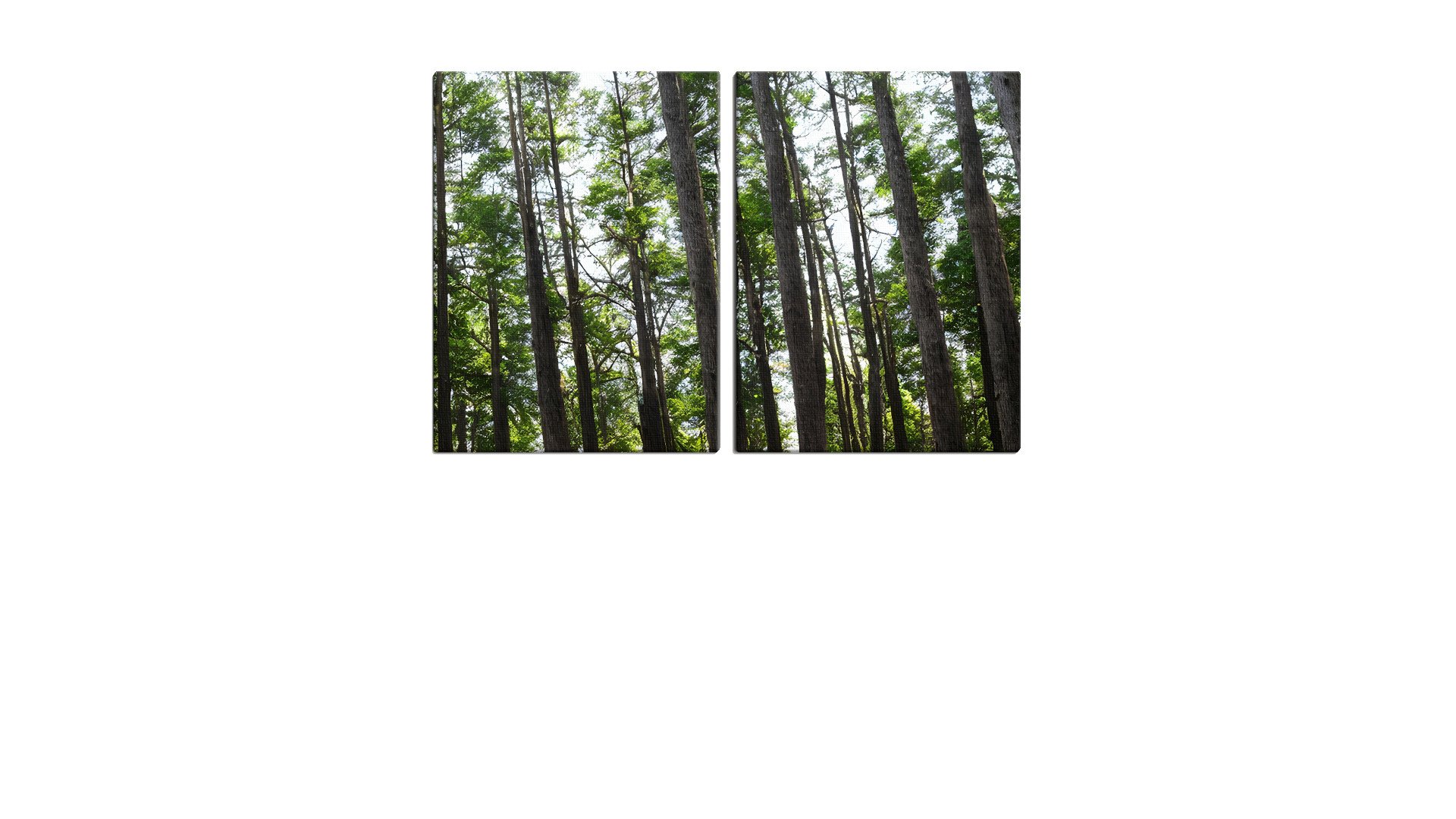 1400182PSAThumbnail.jpg