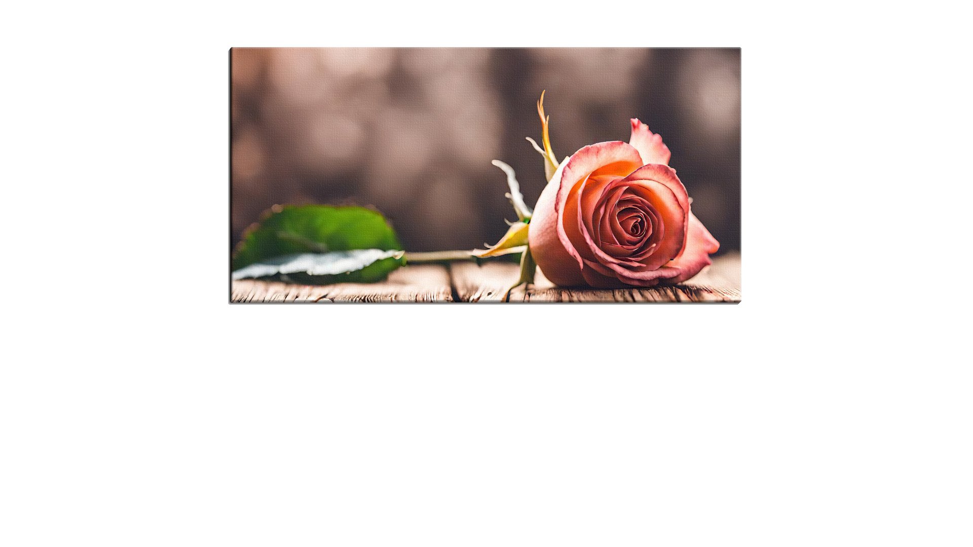 Lone Rose on the Table