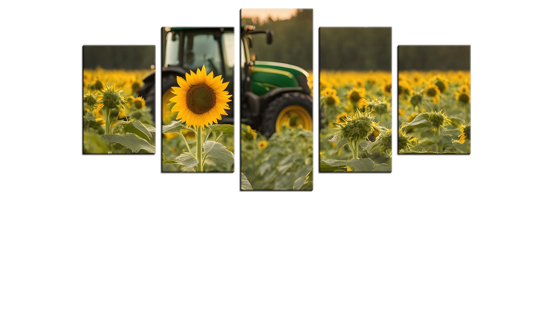 5500245PSAThumbnail.jpg