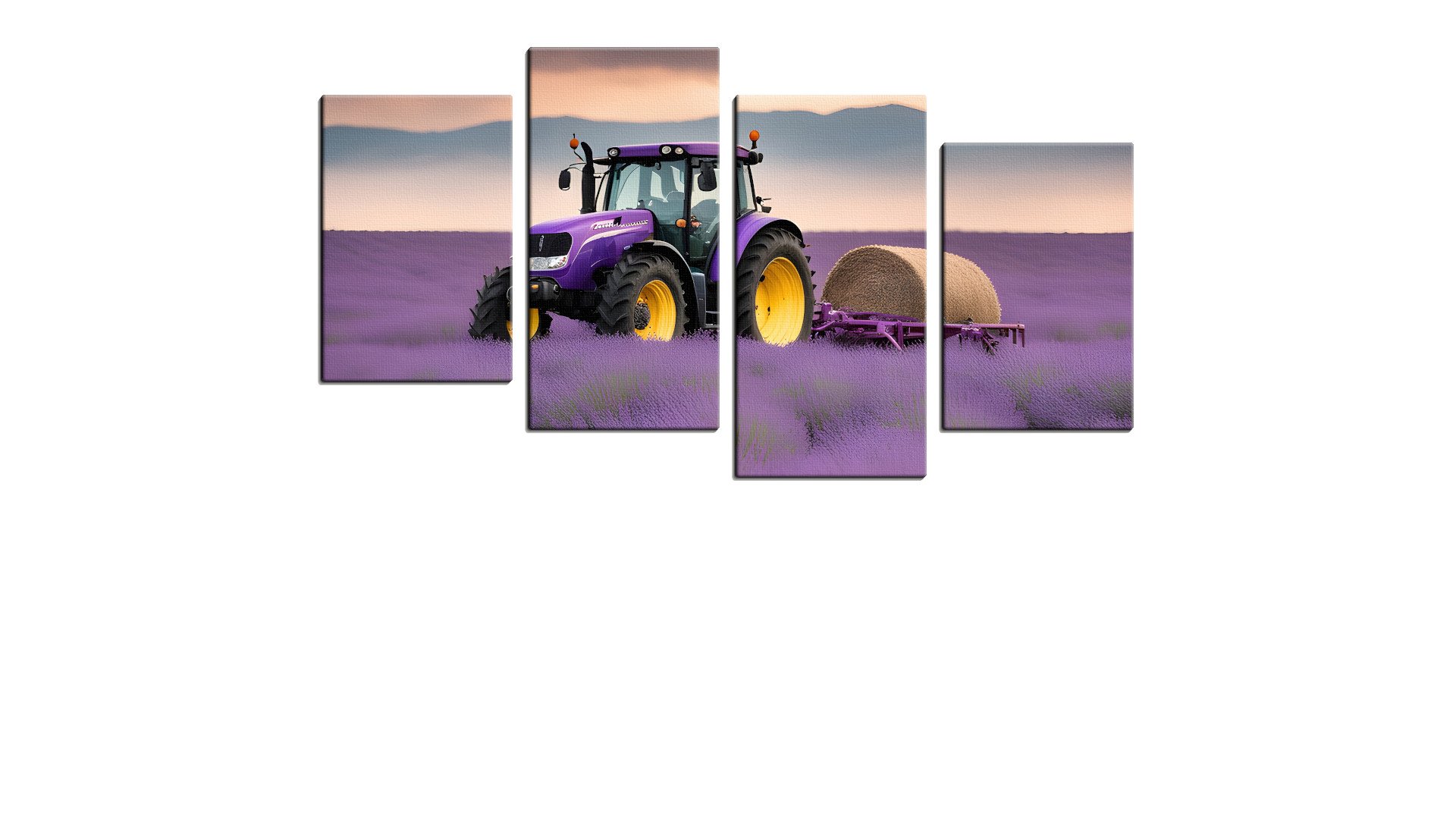 Purple Tractor in a field of Lavender