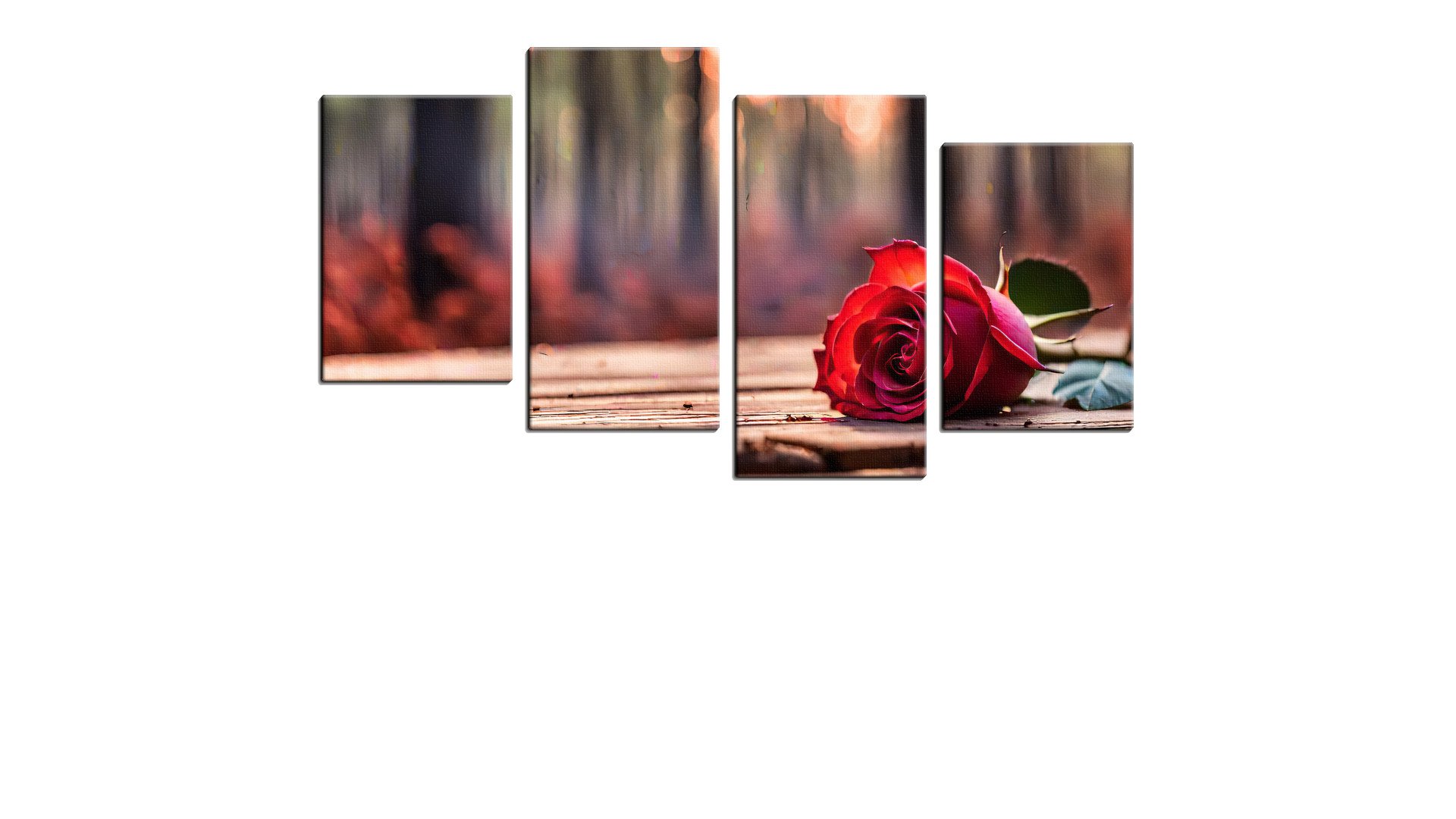 Lone Rose on the Table in Autumn