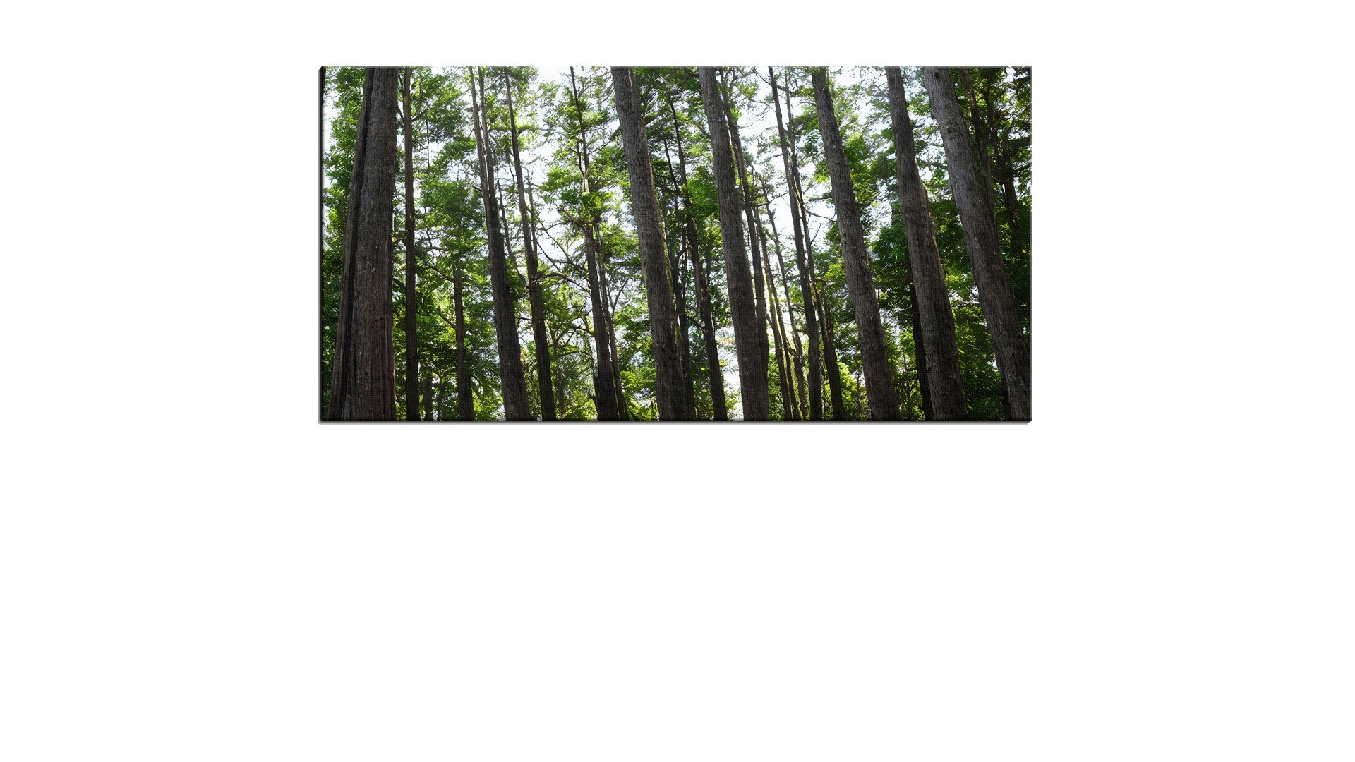 1400181PSAThumbnail.jpg
