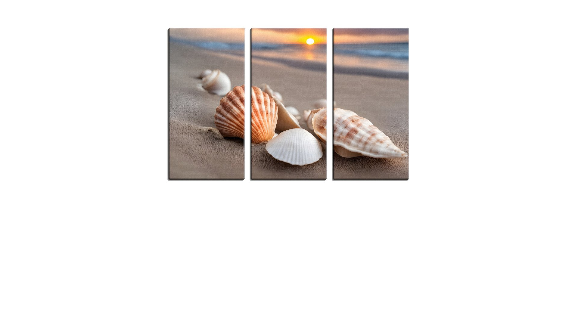 Beach with some Shells